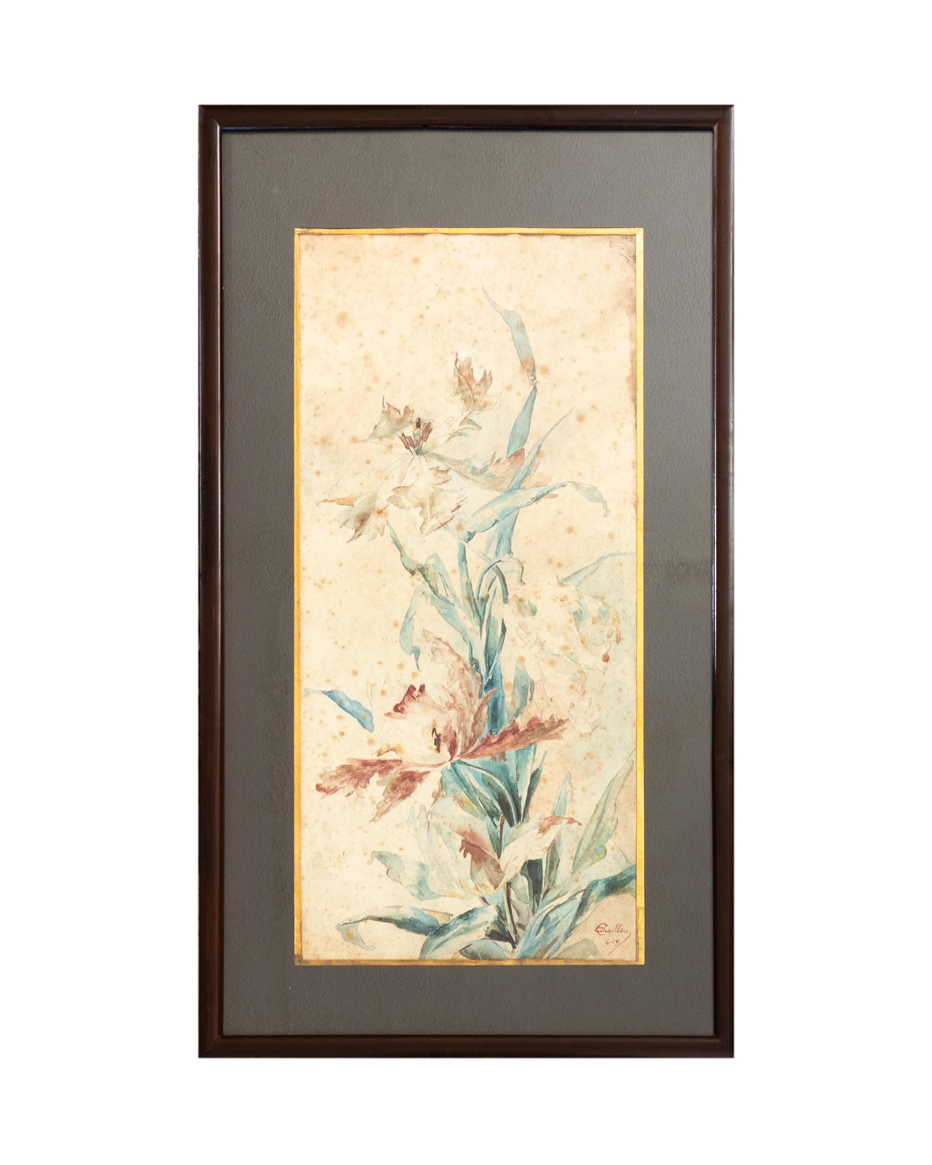 These charming botanical watercolors paintings from the early 20th Century, signed Chaillou, captures delicate floral details in a loose yet refined style. 
The soft color palette and graceful composition evoke the early 20th-century appreciation