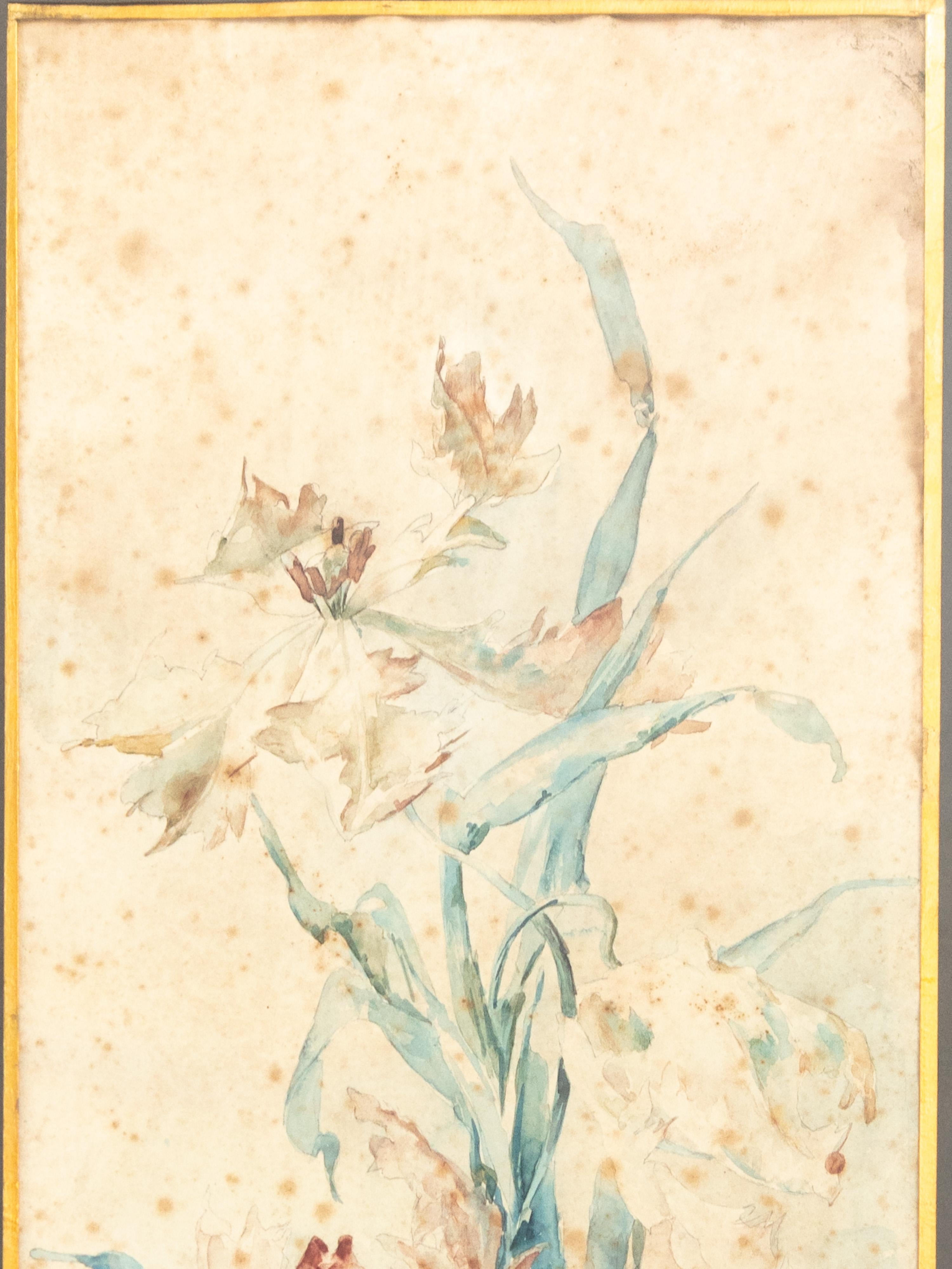 Oiled Set Of Two French Botanical Watercolors, 1909, 20th Century For Sale