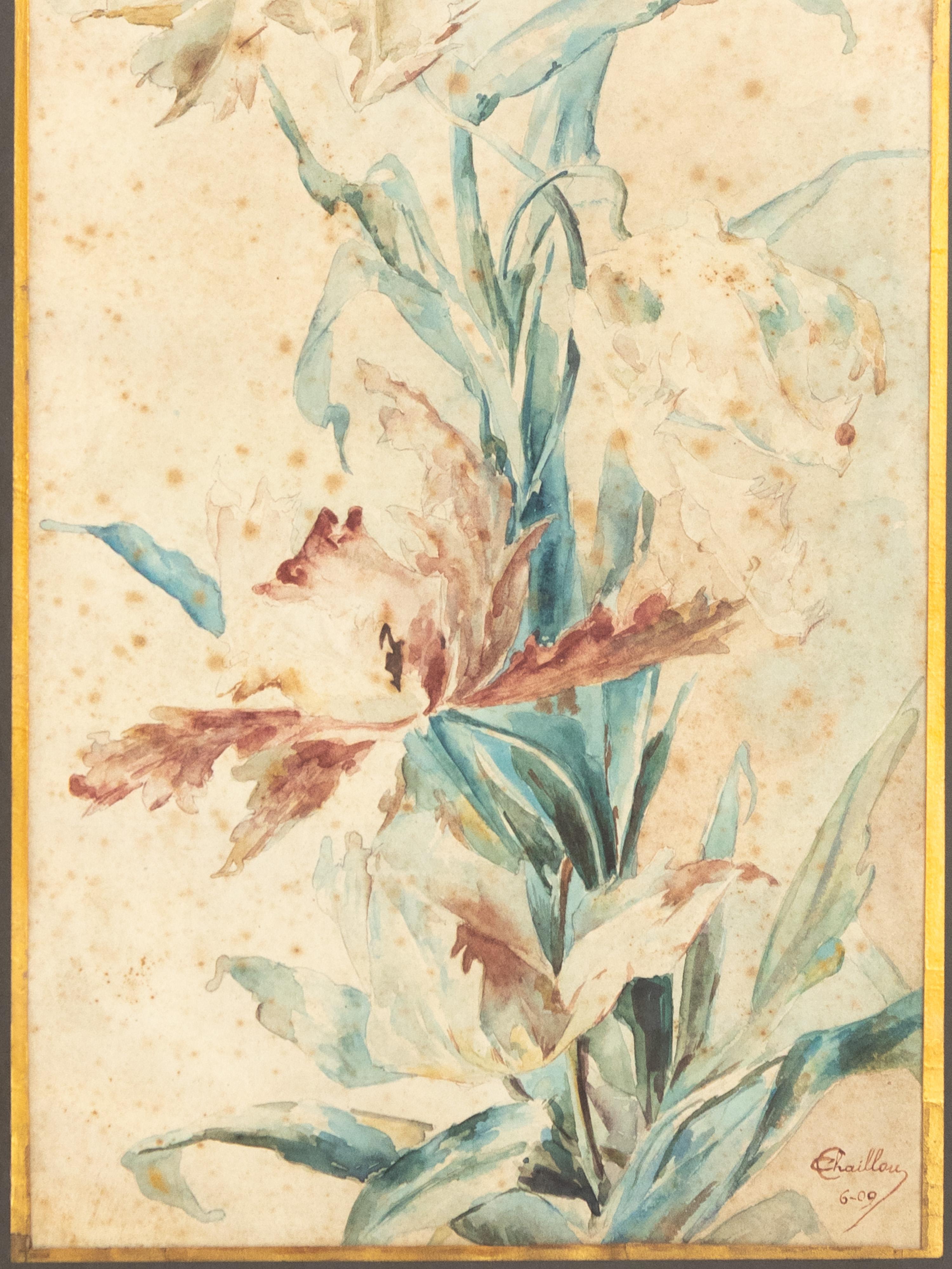 Set Of Two French Botanical Watercolors, 1909, 20th Century In Distressed Condition For Sale In Lisbon, PT