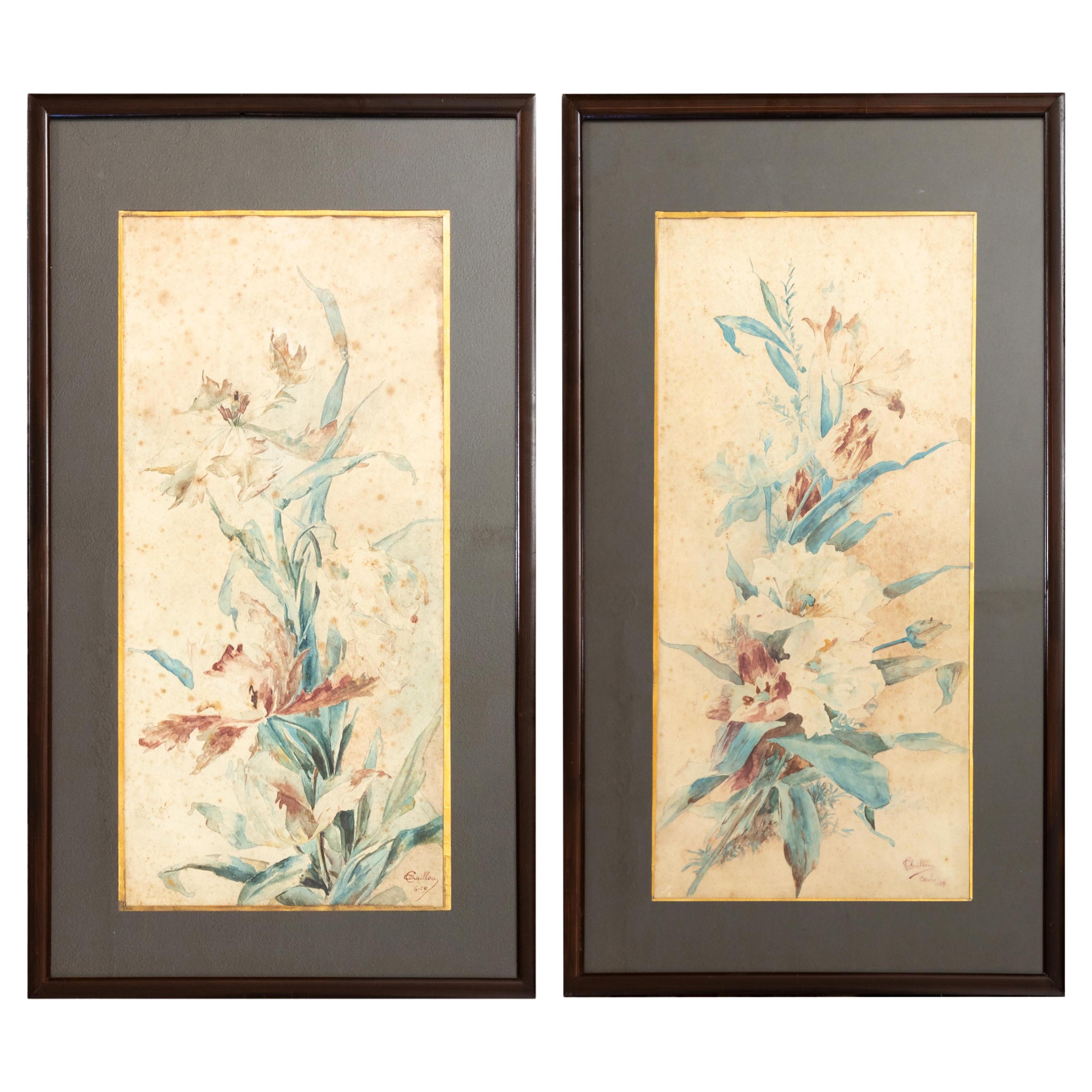 Set Of Two French Botanical Watercolors, 1909, 20th Century
