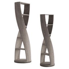 Set of two Gray Bookcases from MYDNA Collection by Joel Escalona