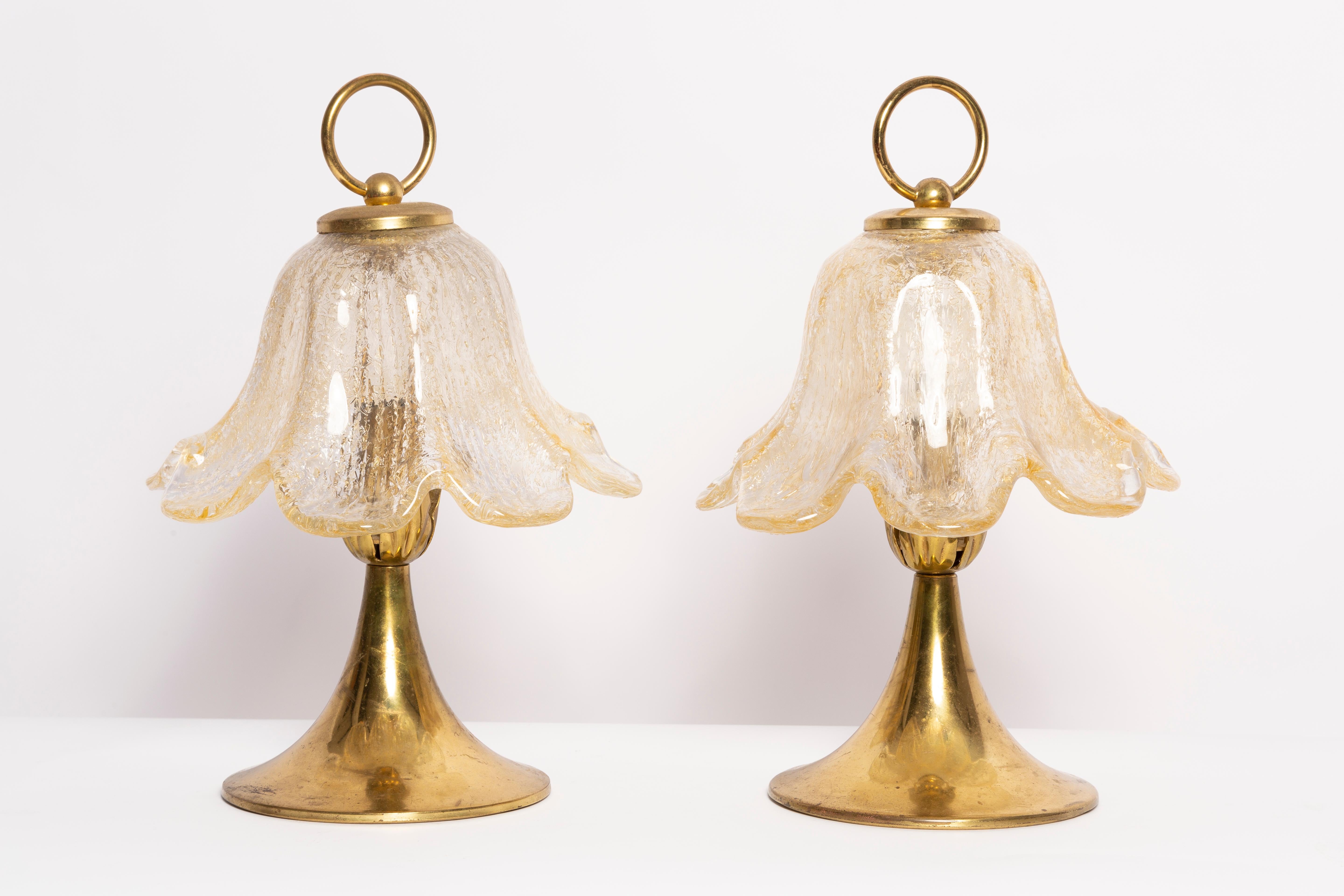 Beautiful table lamps in the style of the Hollywood Regency from the 1960s. Manually made by the Italian workshop. 1 standard bulb inside. 
Set is in original very good vintage condition, glass flowers too.


Stylish addition to brighten up your