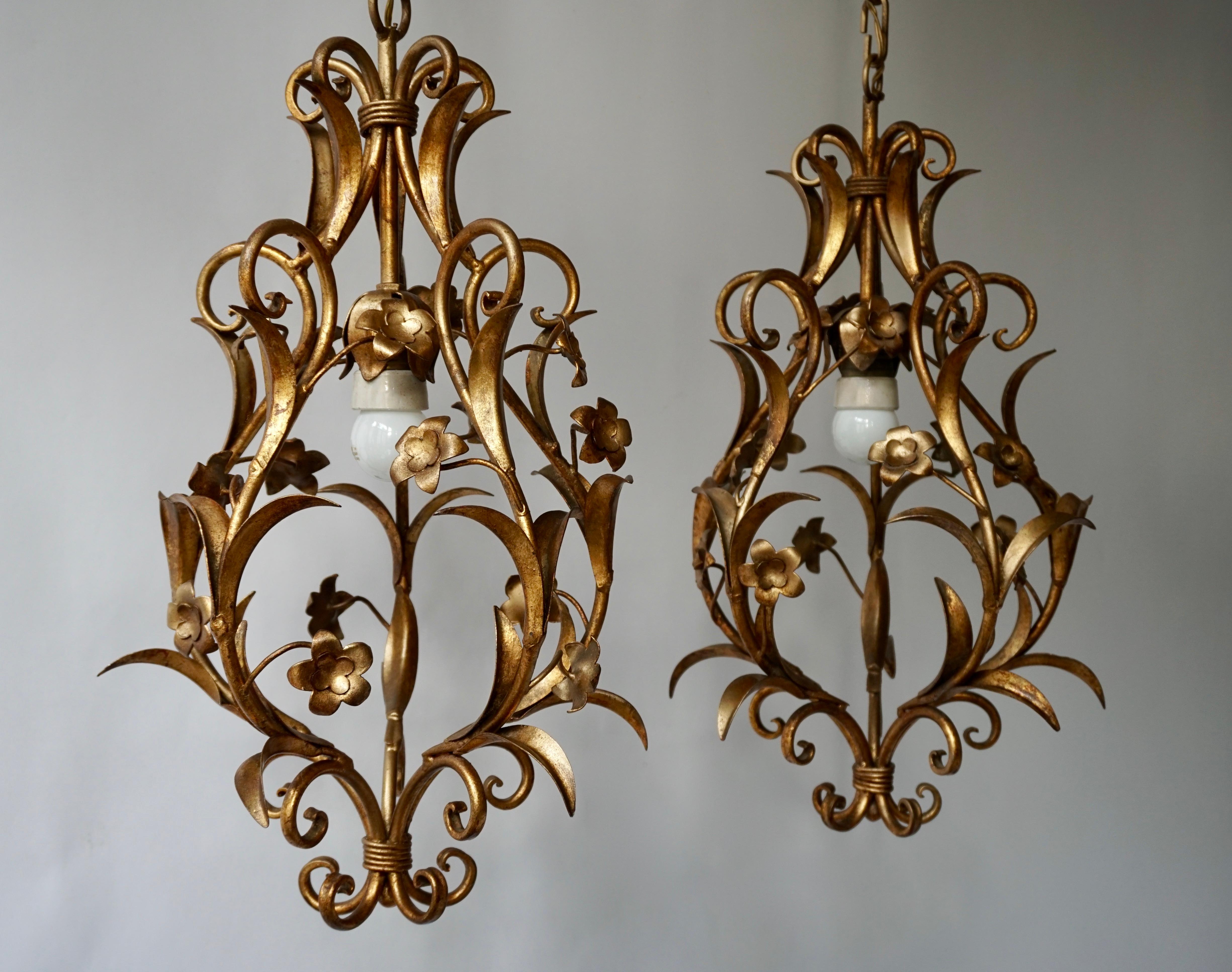 Two stylish Italian 1950s gilt-tole foliate chandeliers - ceiling lights with out-scrolled leaves.
Measures: Diameter 32 cm.
Height 53 cm.
Total height including the chain and canopy 95 cm.