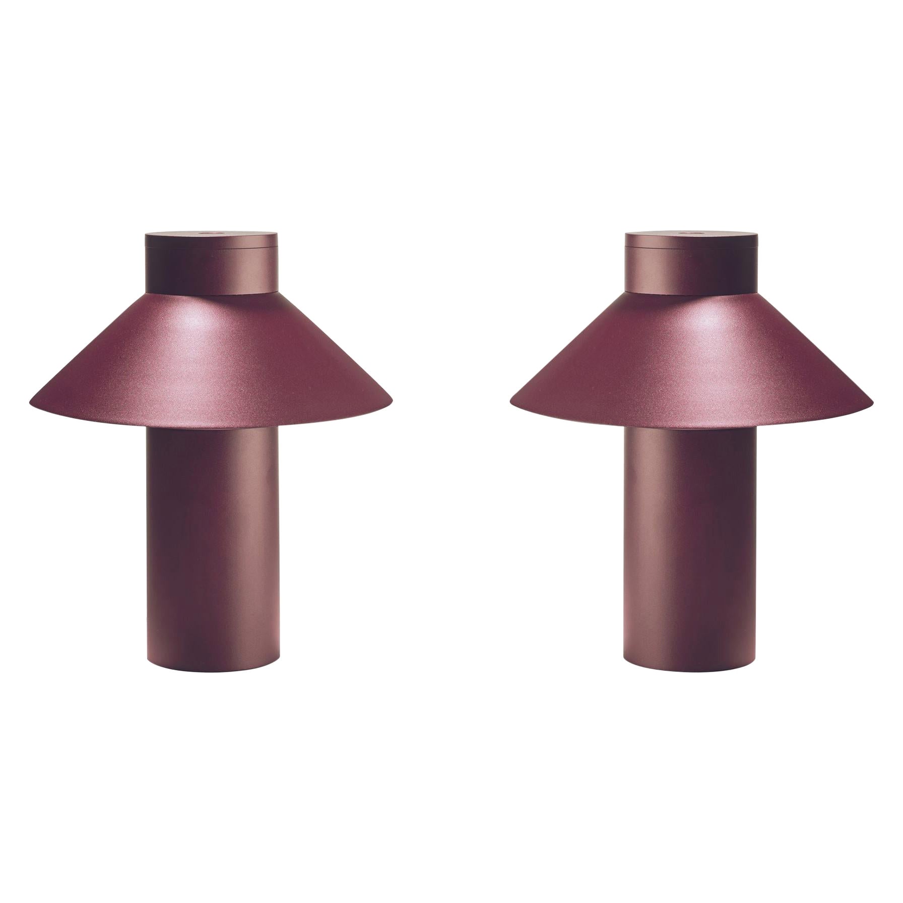 Ensemble de deux lampes de bureau en acier Riscio de Joe Colombo par Karakter
