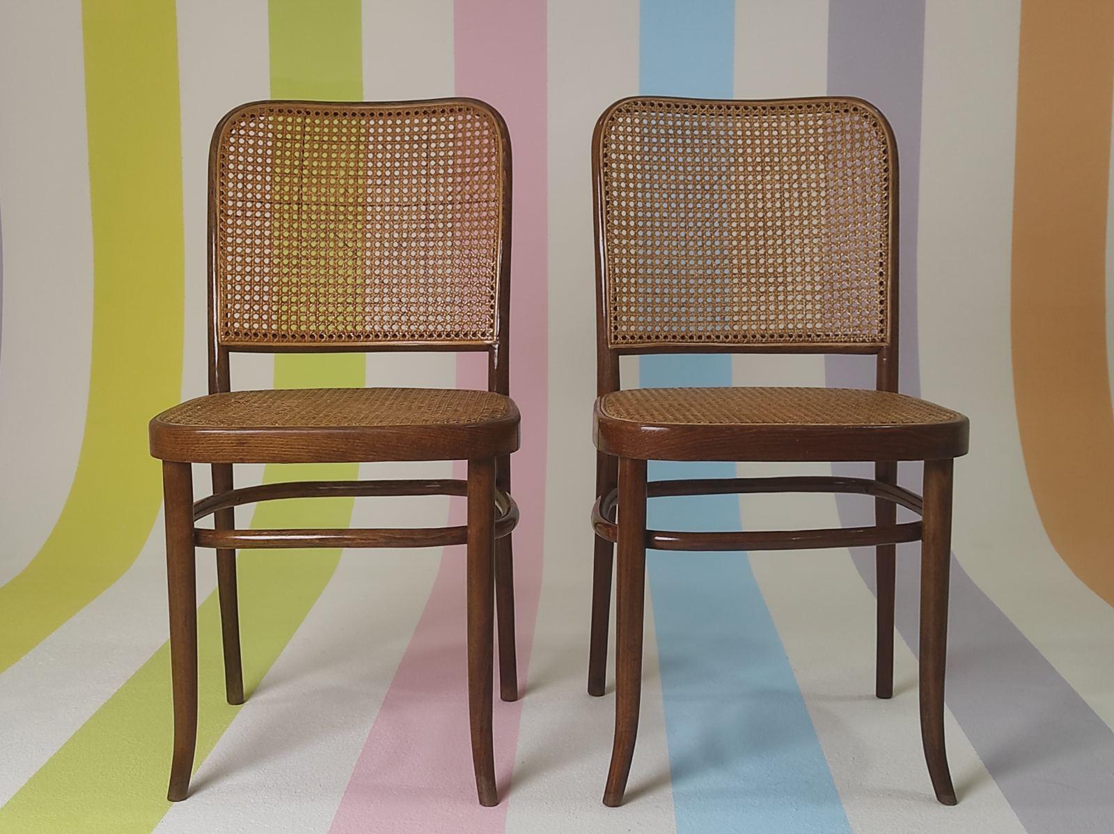 Satz von zwei Josef Hoffmann Prag 811 Stühlen 1950er Jahre (Mitte des 20. Jahrhunderts) im Angebot