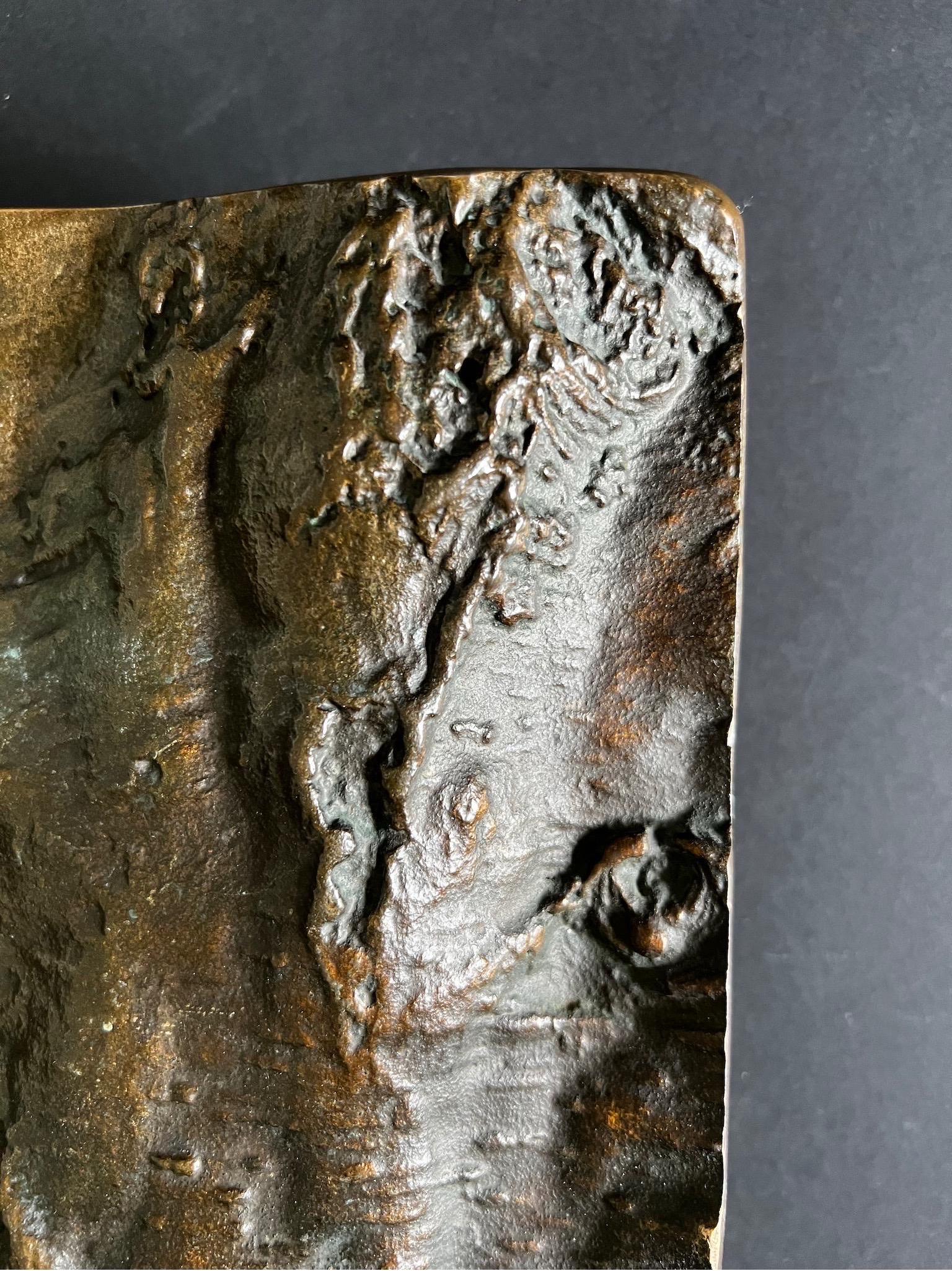 Satz von zwei großen brutalistischen Bronze-Türgriffen mit Baumrinden-Muster, europäisch (20. Jahrhundert) im Angebot