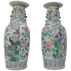 Set of Two Large Chinese Famille Rose Peacock Baluster Vases