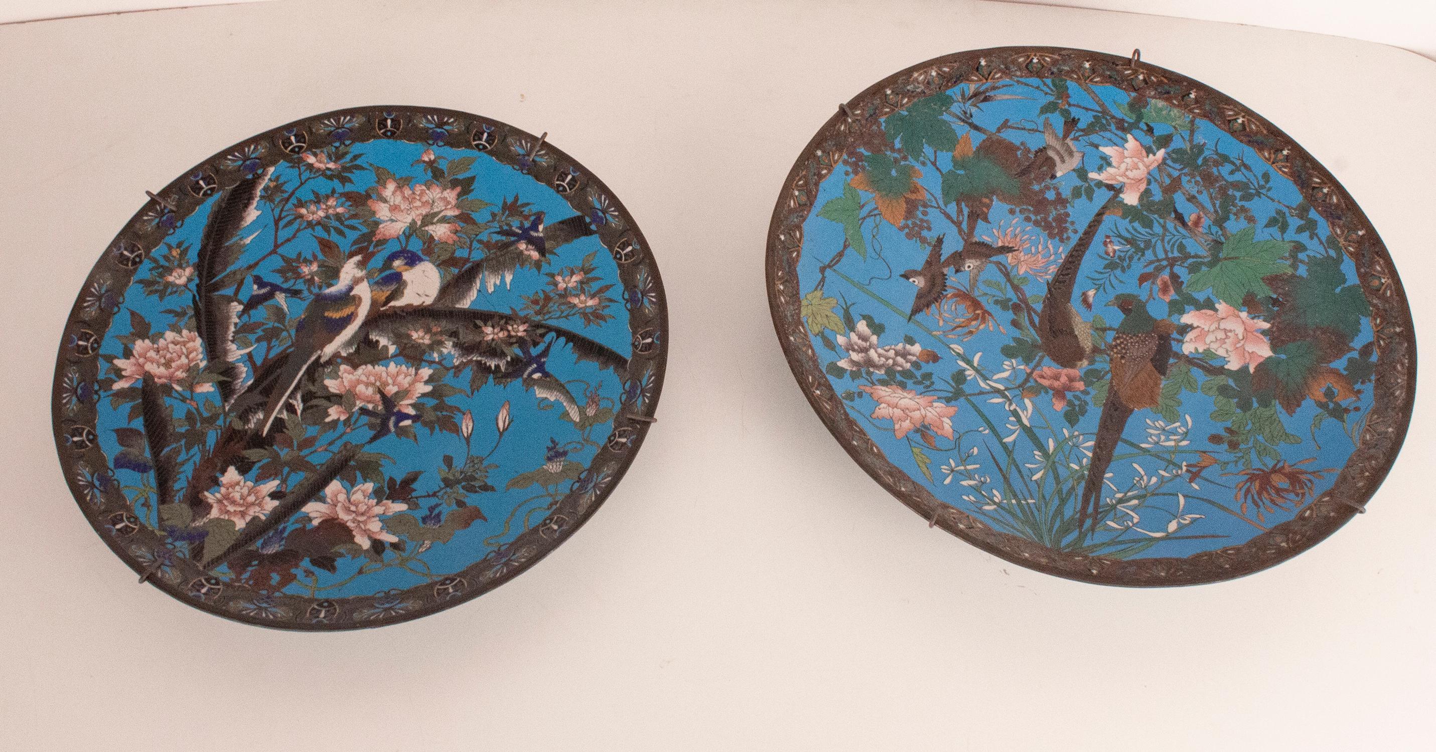Set of Two Large Cloisonné Dishes, Japan 19th Century 7
