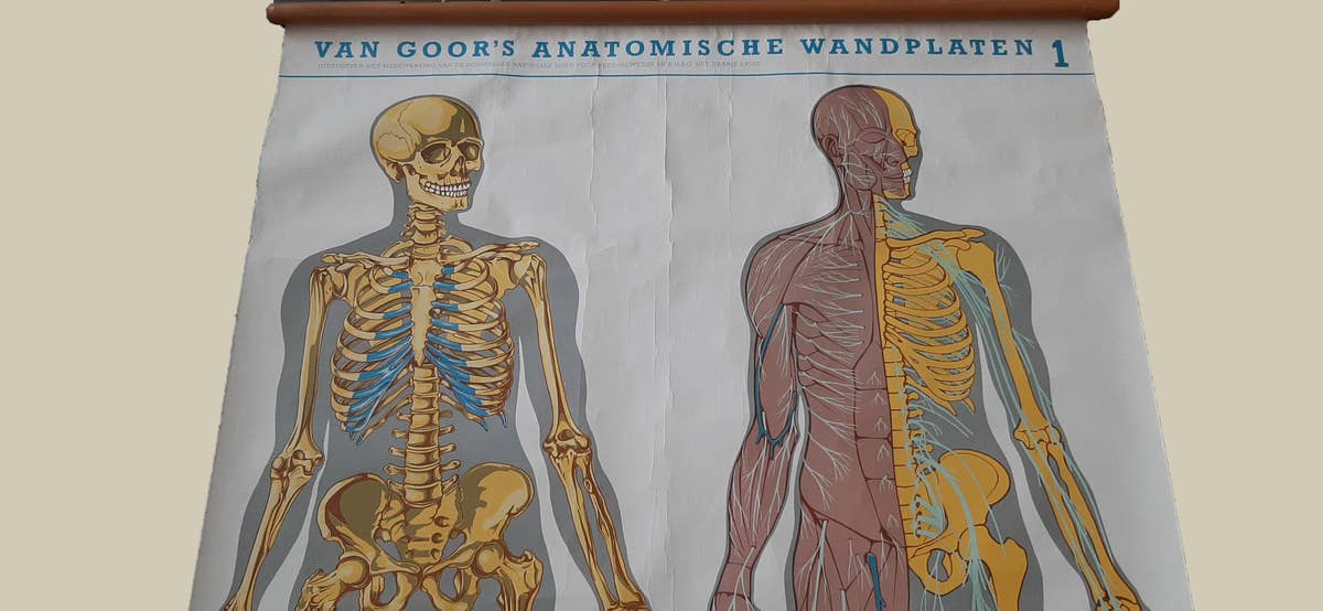 Set of Two large Medical Prints by Van Goor, circa 1930