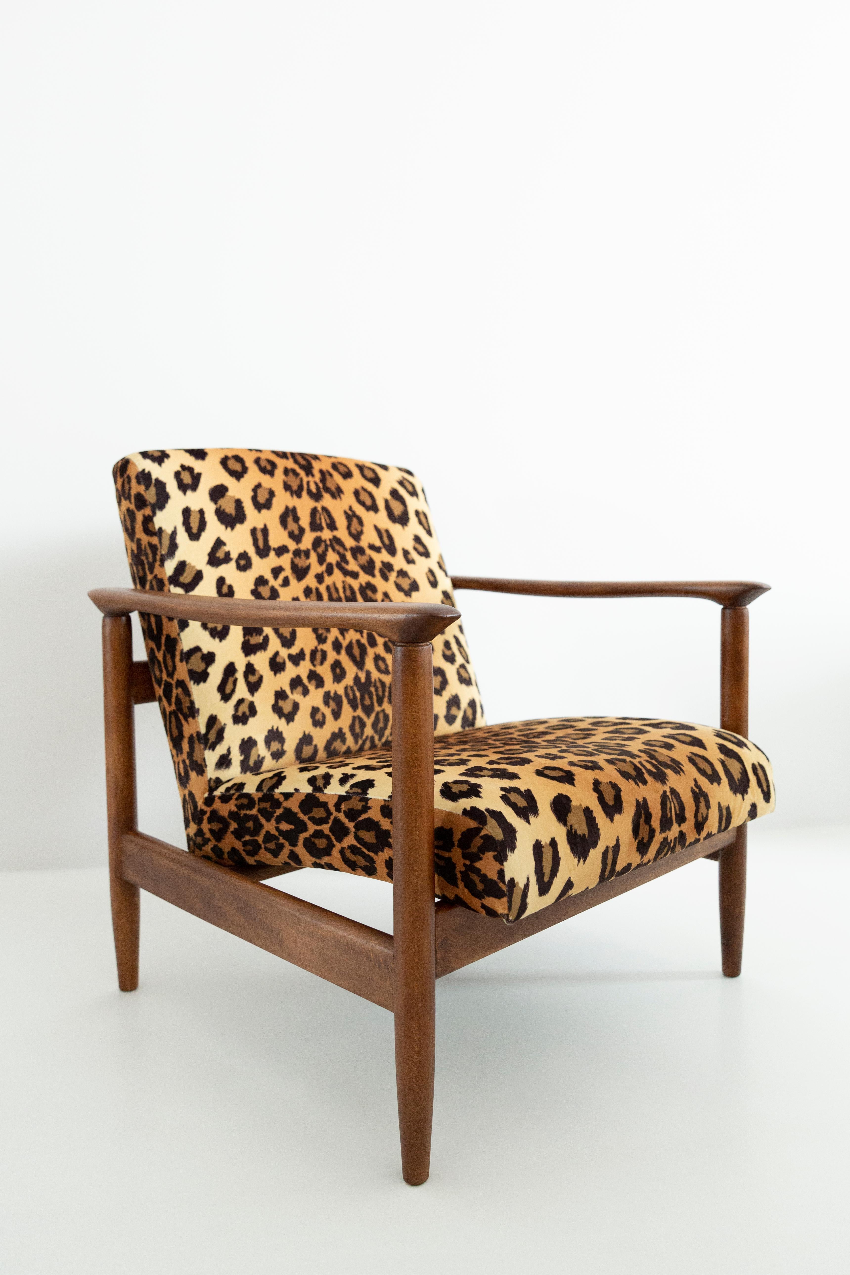 Textile Set of Two Leopard Print Velvet Armchairs, Edmund Homa, GFM-142, 1960s, Poland For Sale
