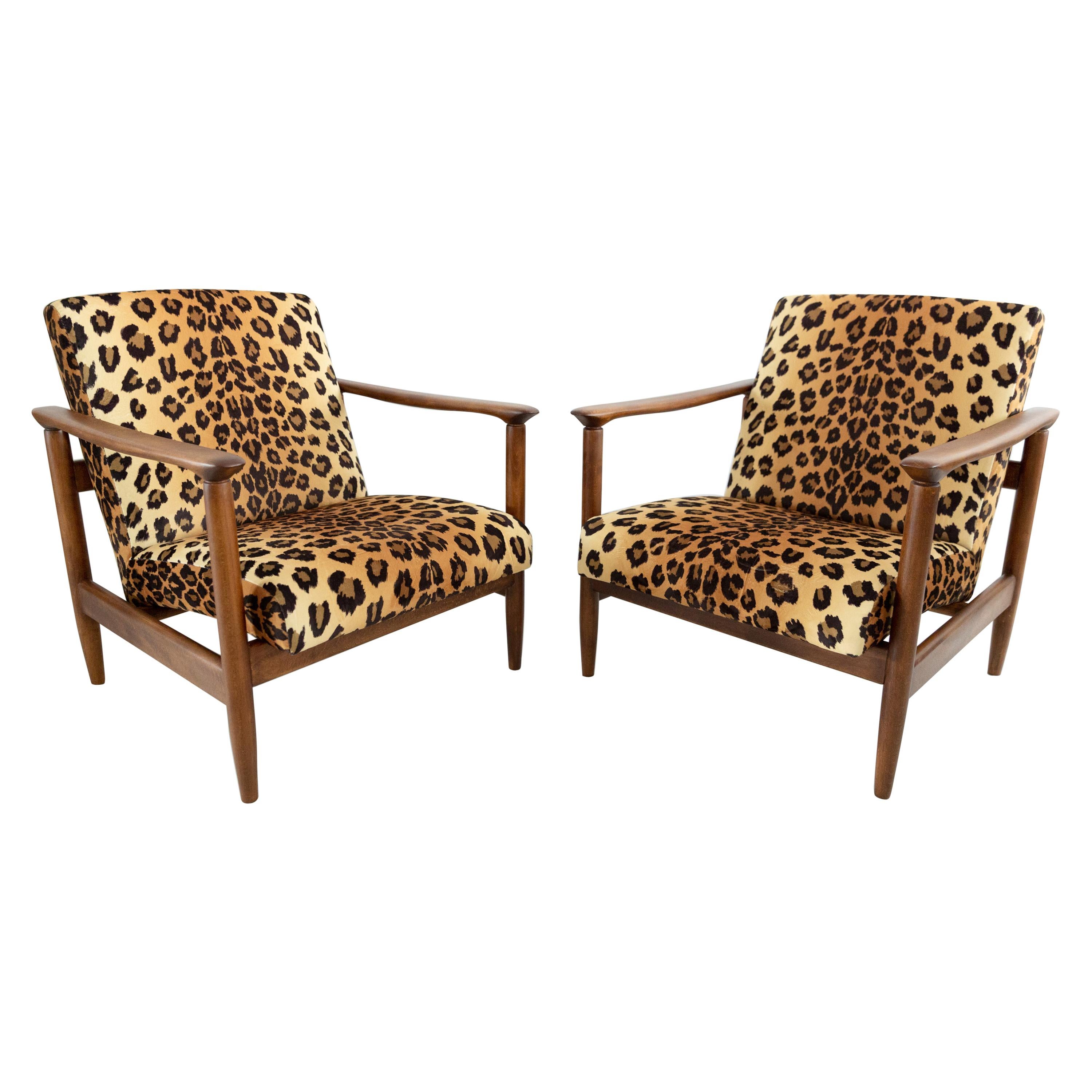 Set of Two Leopard Print Velvet Armchairs, Edmund Homa, GFM-142, 1960s, Poland For Sale