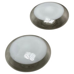 Set of Two Leucos Wall Lights by Roberto Pamio