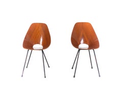 Set of Two Medea Chairs by Vittorio Nobili for Fratelli Tagliabue, Italy, 1950s