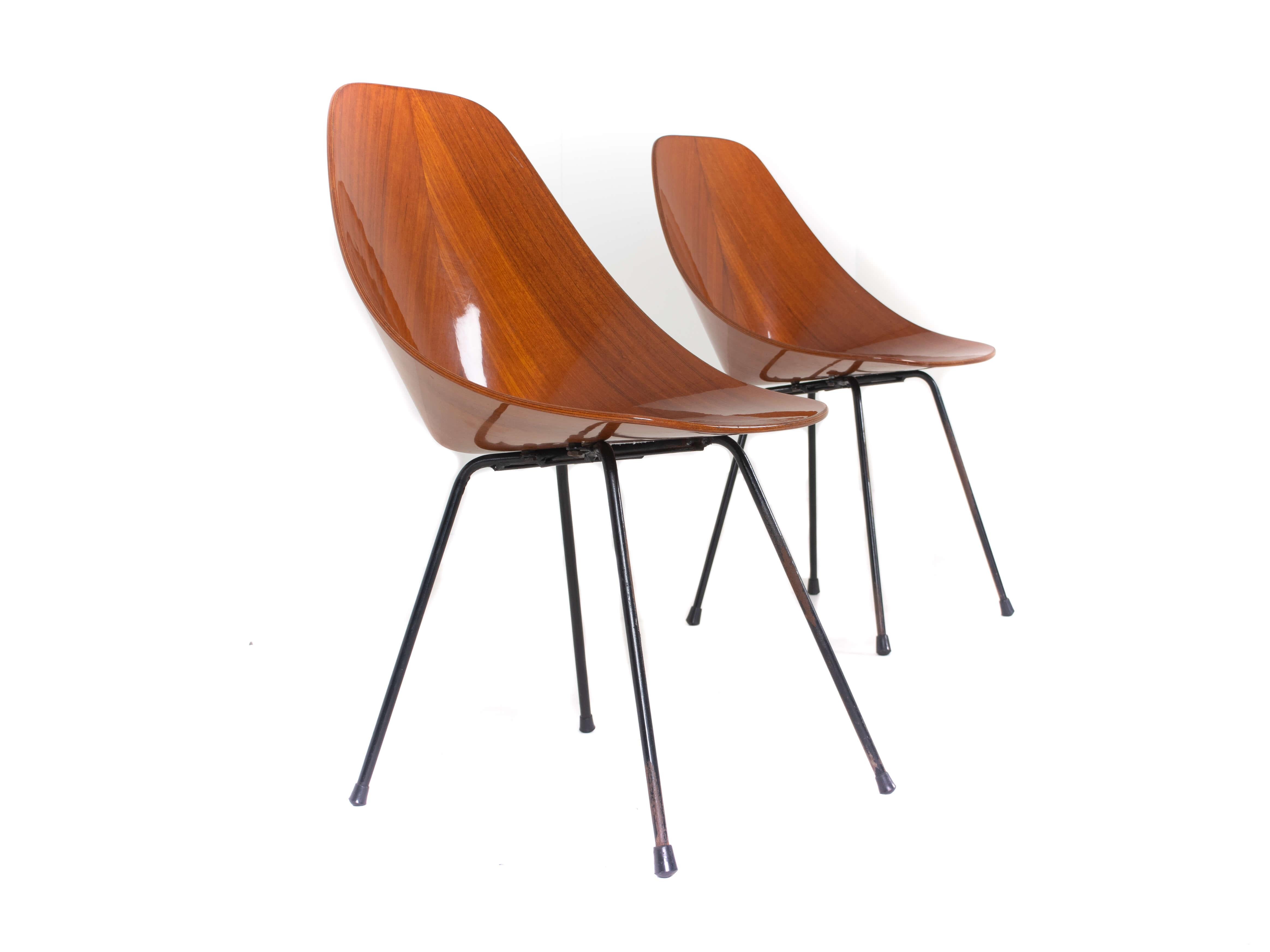 Mid-Century Modern Set of Two Medea Chairs by Vittorio Nobili for Fratelli Tagliabue, Italy, 1950s For Sale