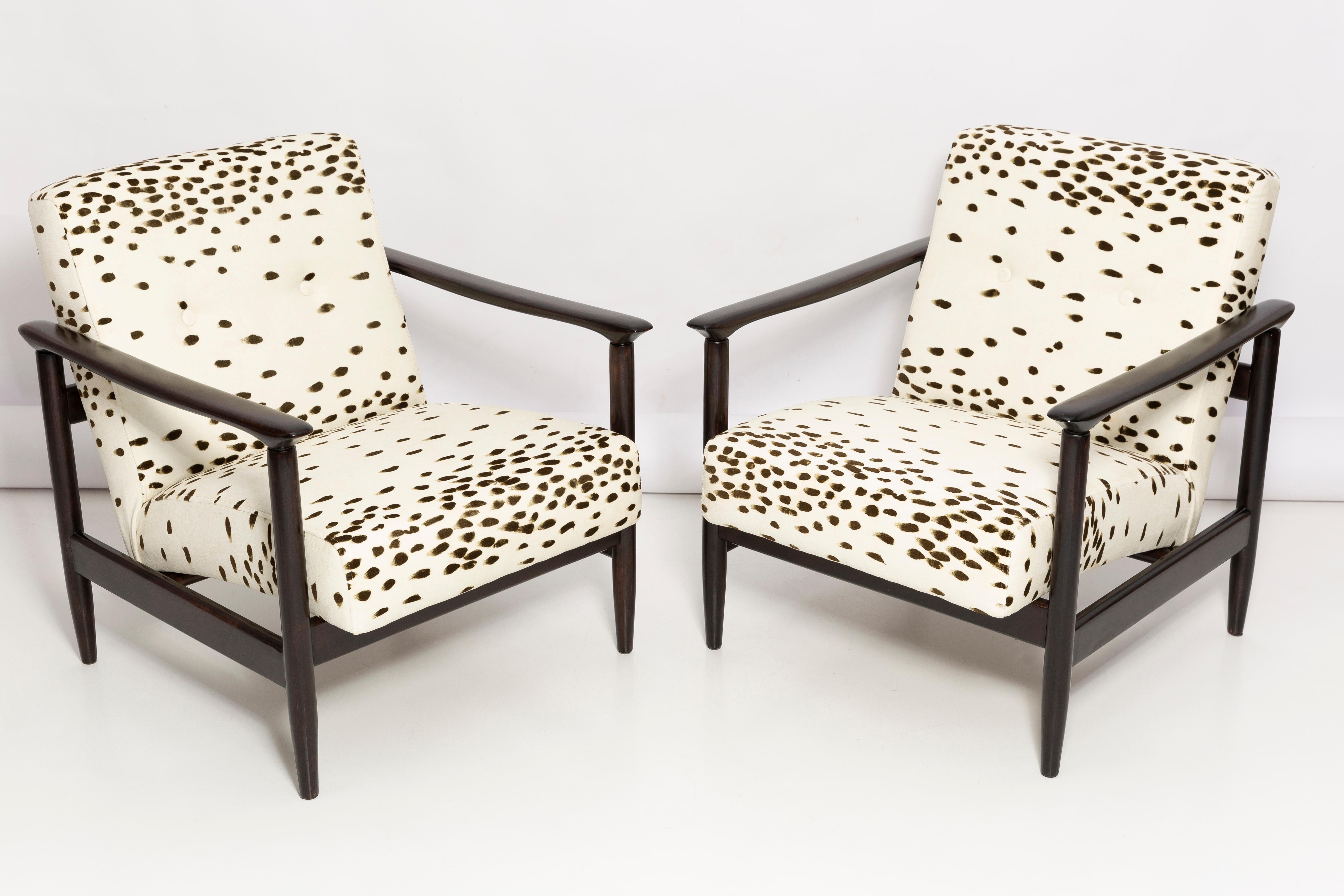 Polish Set of Two Mid Century Dalmatian Velvet Armchairs, by Edmund Homa, Europe, 1960s For Sale