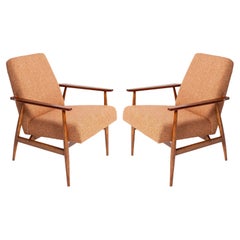 Ensemble de deux fauteuils Melange Dante du milieu du siècle dernier, H. Lis, années 1960