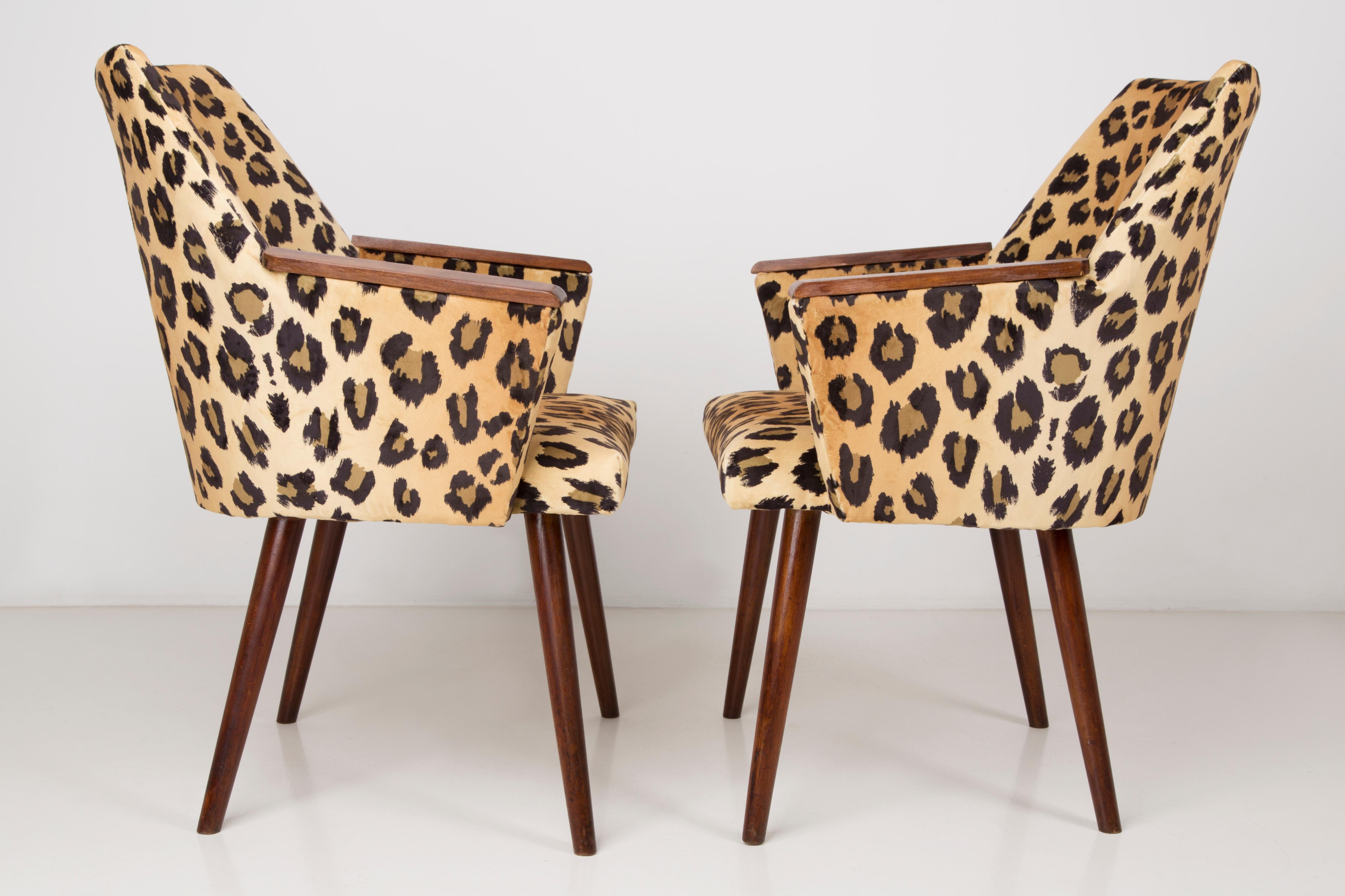 Set of Two Mid-Century Modern Leopard Print Chairs, 1960s, Germany 6