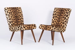 Set di due sedie moderne di metà secolo con stampa leopardata, anni '60, Germania