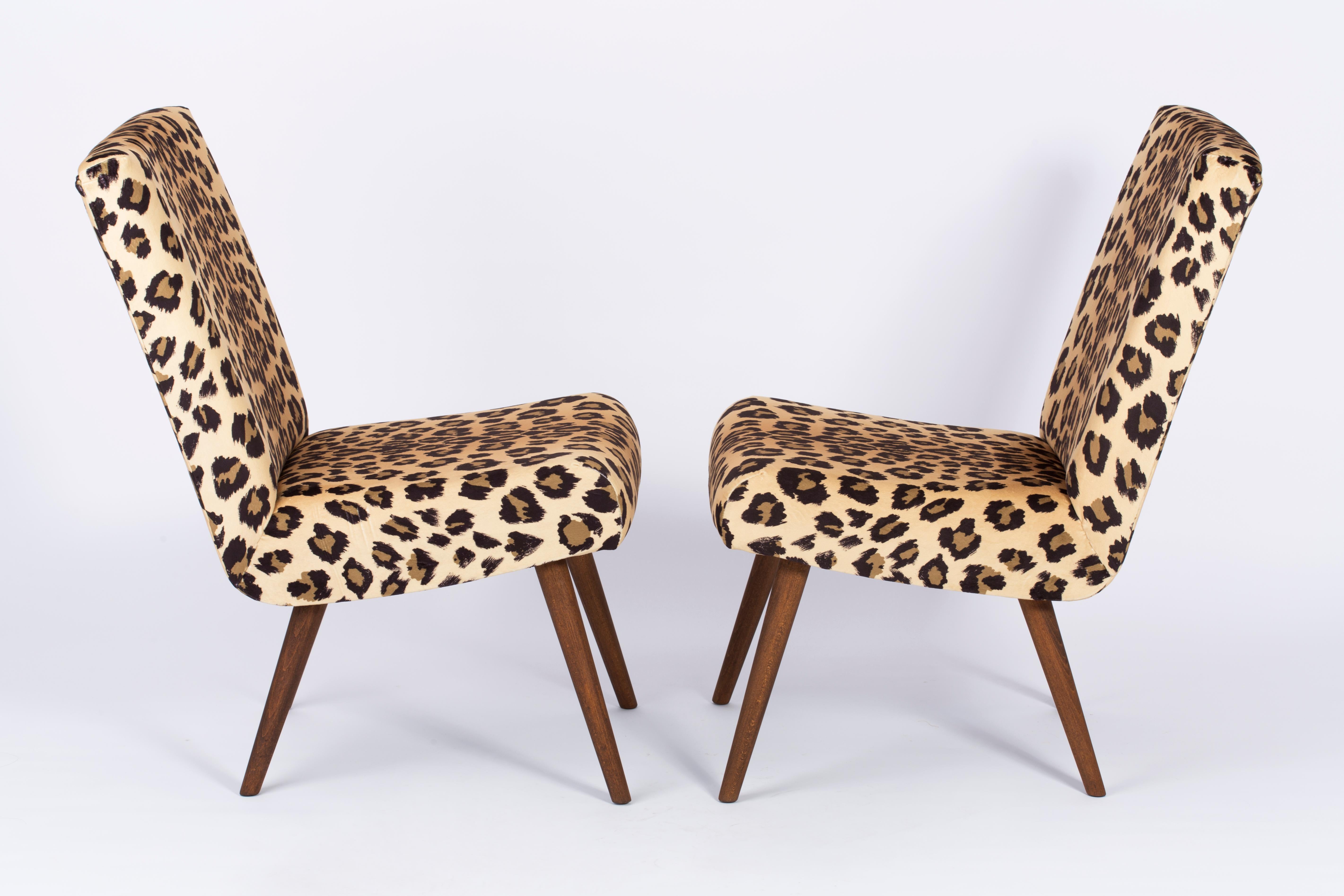 leopard print chairs for sale