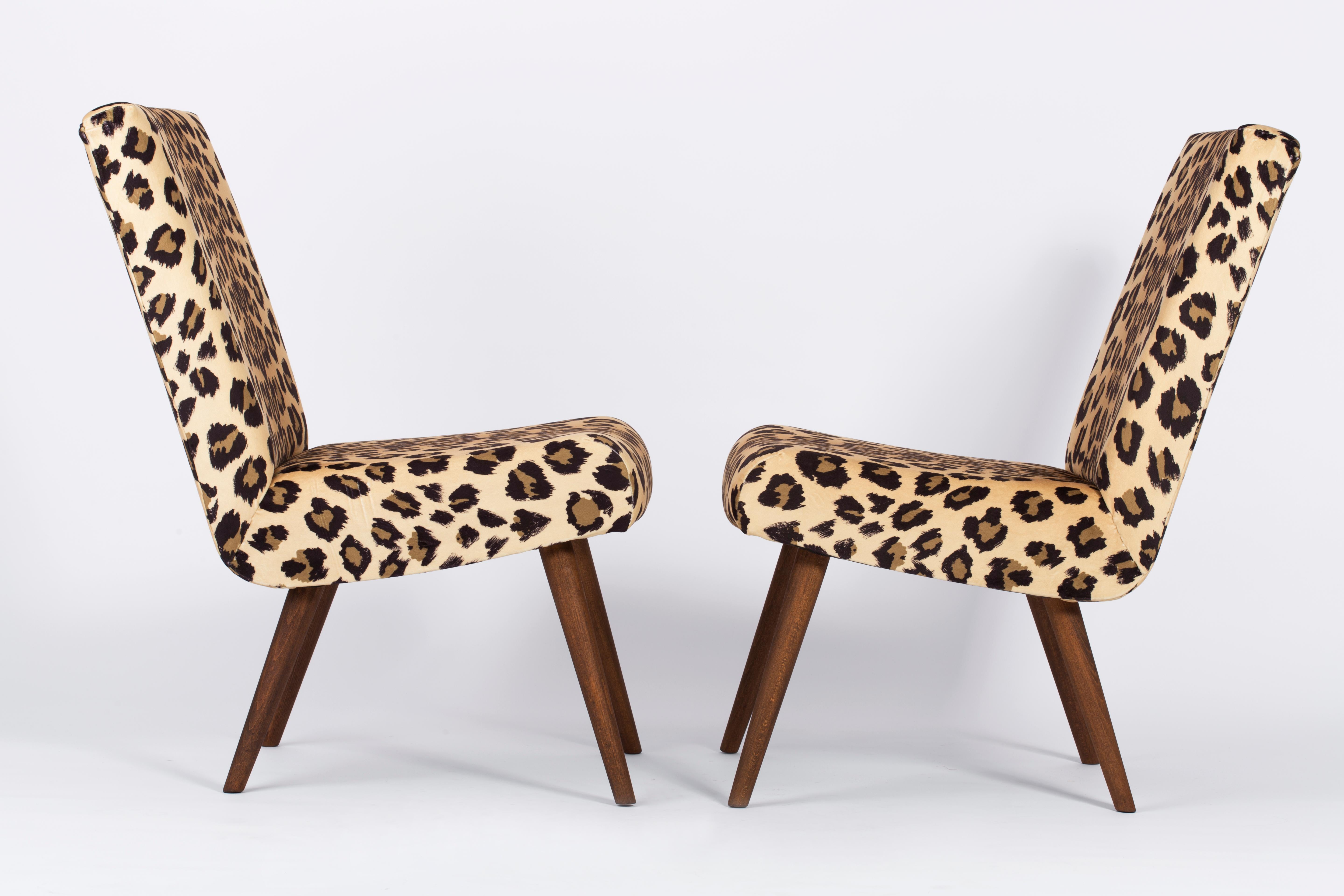 Polonais Ensemble de deux chaises mi-siècle modernes à imprimé léopard, années 1960, Allemagne en vente
