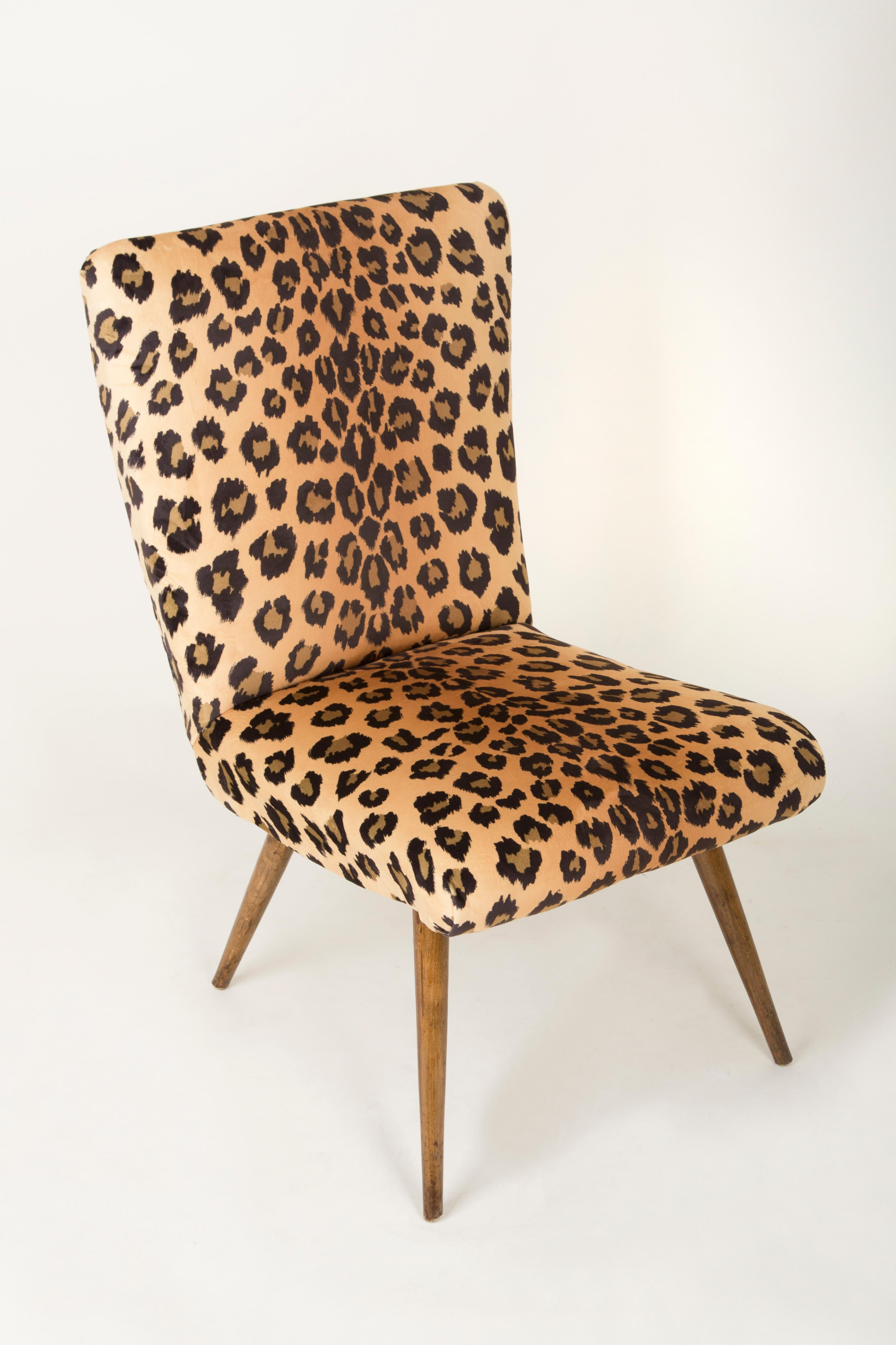 Polish Set of Two Mid-Century Modern Leopard Print Chairs, 1960s, Germany