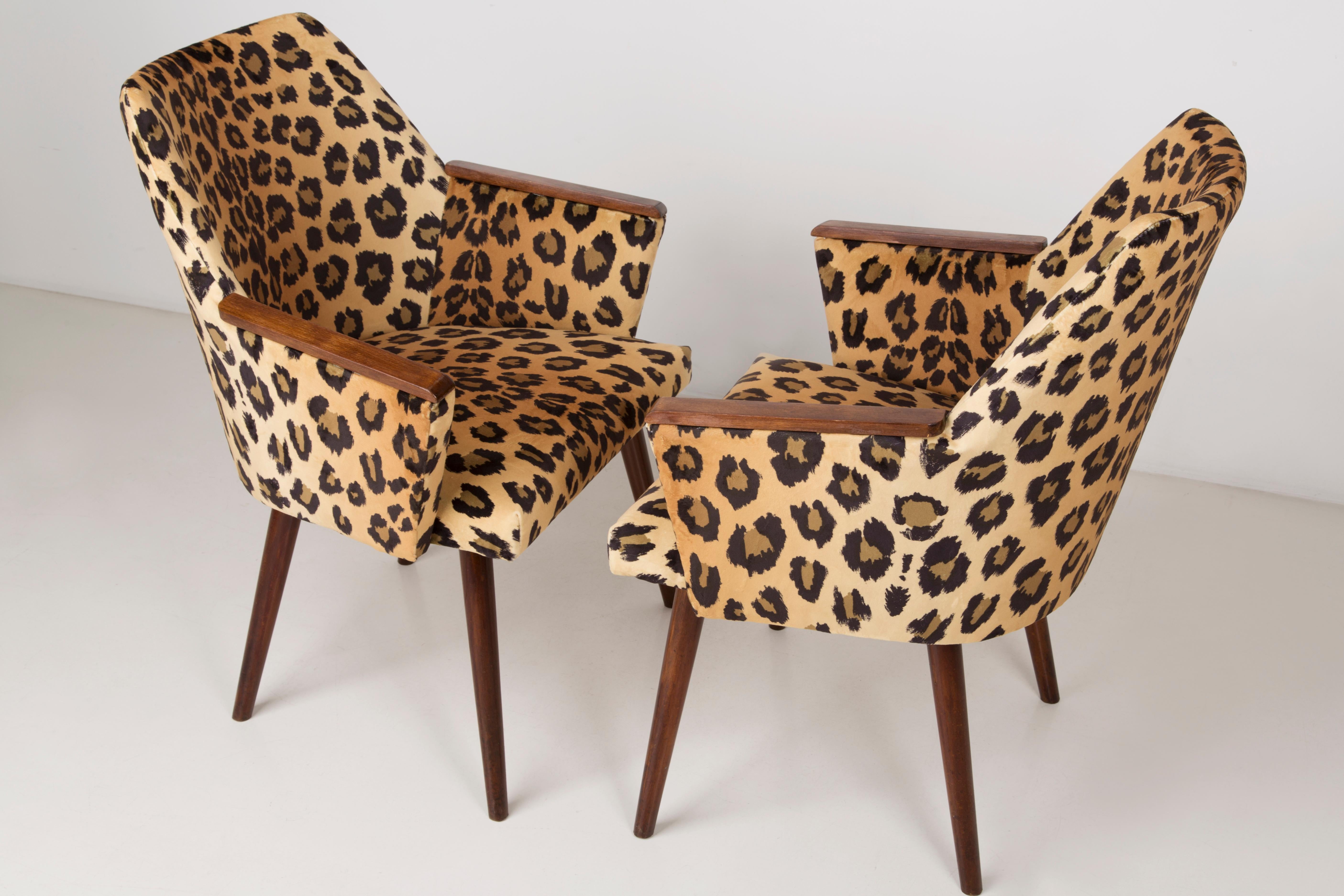 20th Century Set of Two Mid-Century Modern Leopard Print Chairs, 1960s, Germany