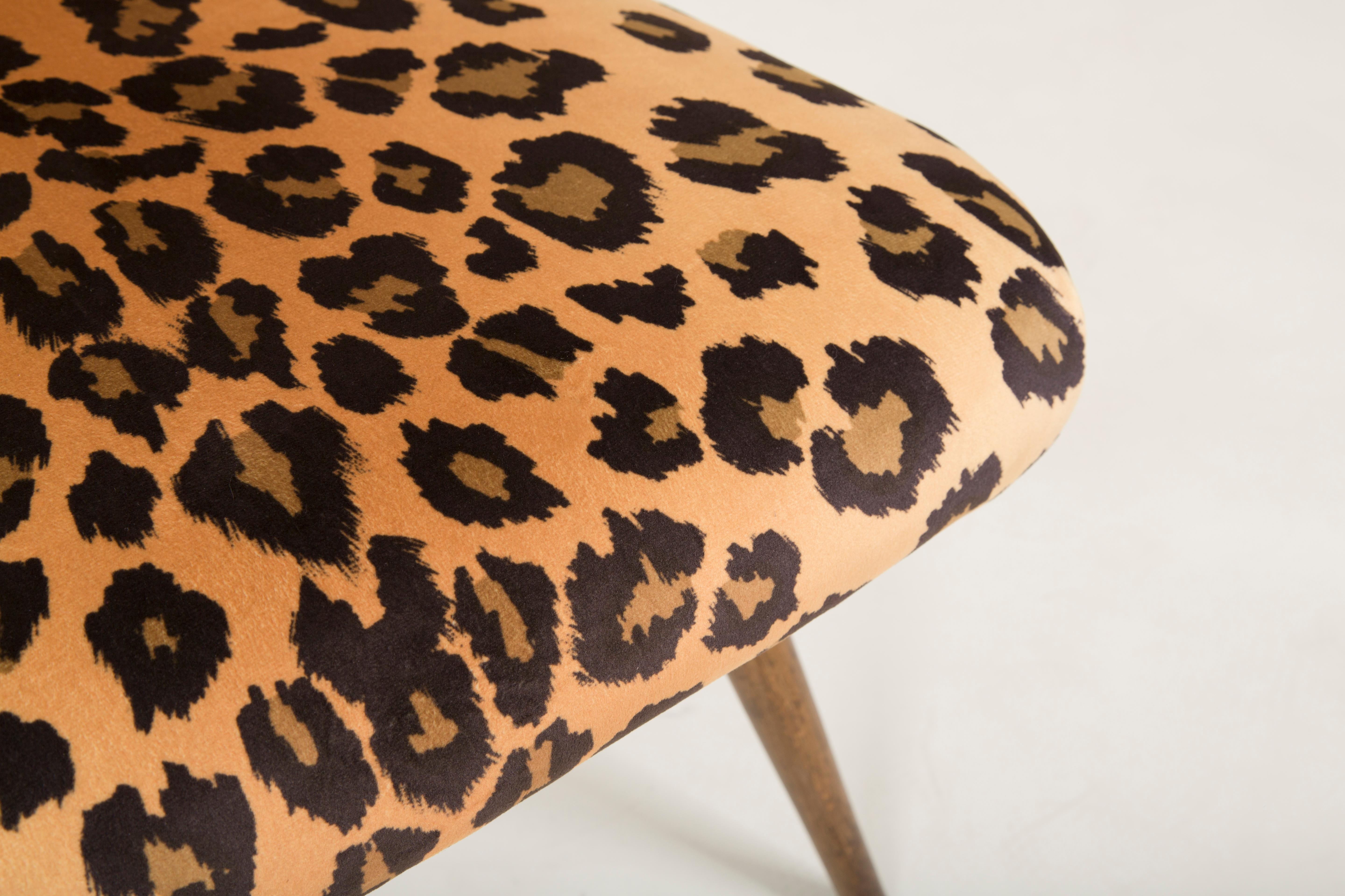 Set of Two Mid-Century Modern Leopard Print Chairs, 1960s, Germany In Excellent Condition In 05-080 Hornowek, PL