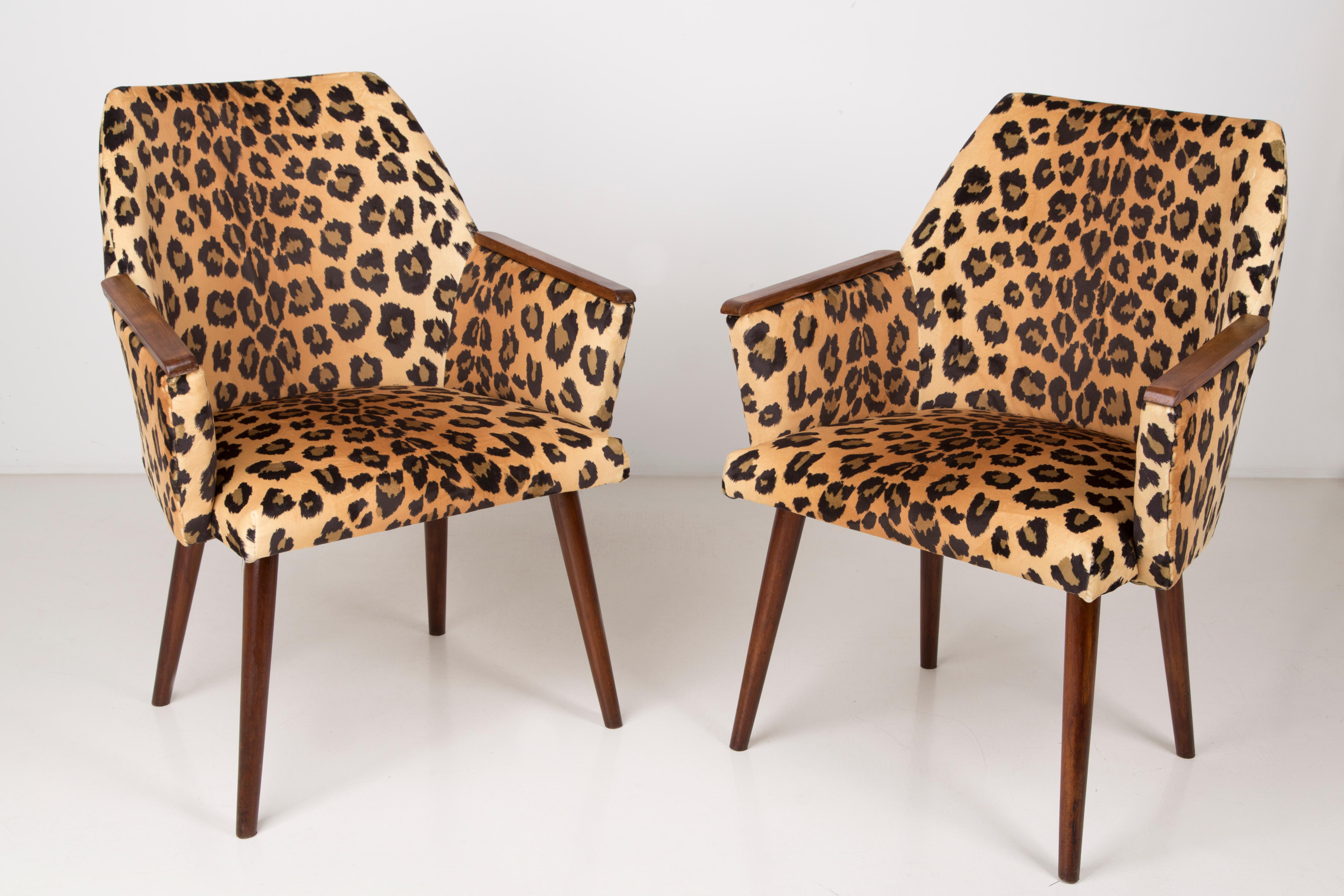 Set of Two Mid-Century Modern Leopard Print Chairs, 1960s, Germany In Excellent Condition In 05-080 Hornowek, PL