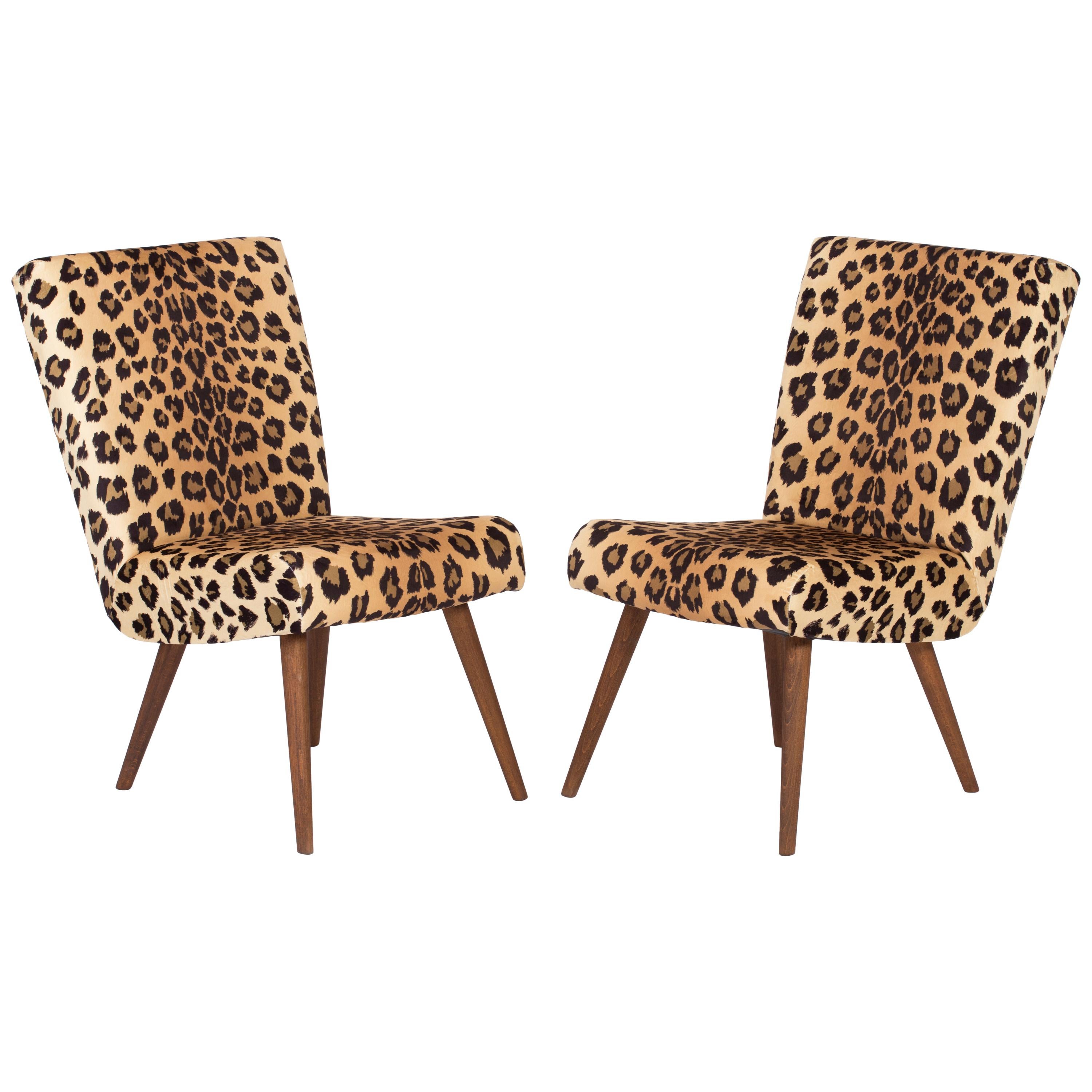 Set of Two Mid-Century Modern Leopard Print Chairs, 1960s, Germany