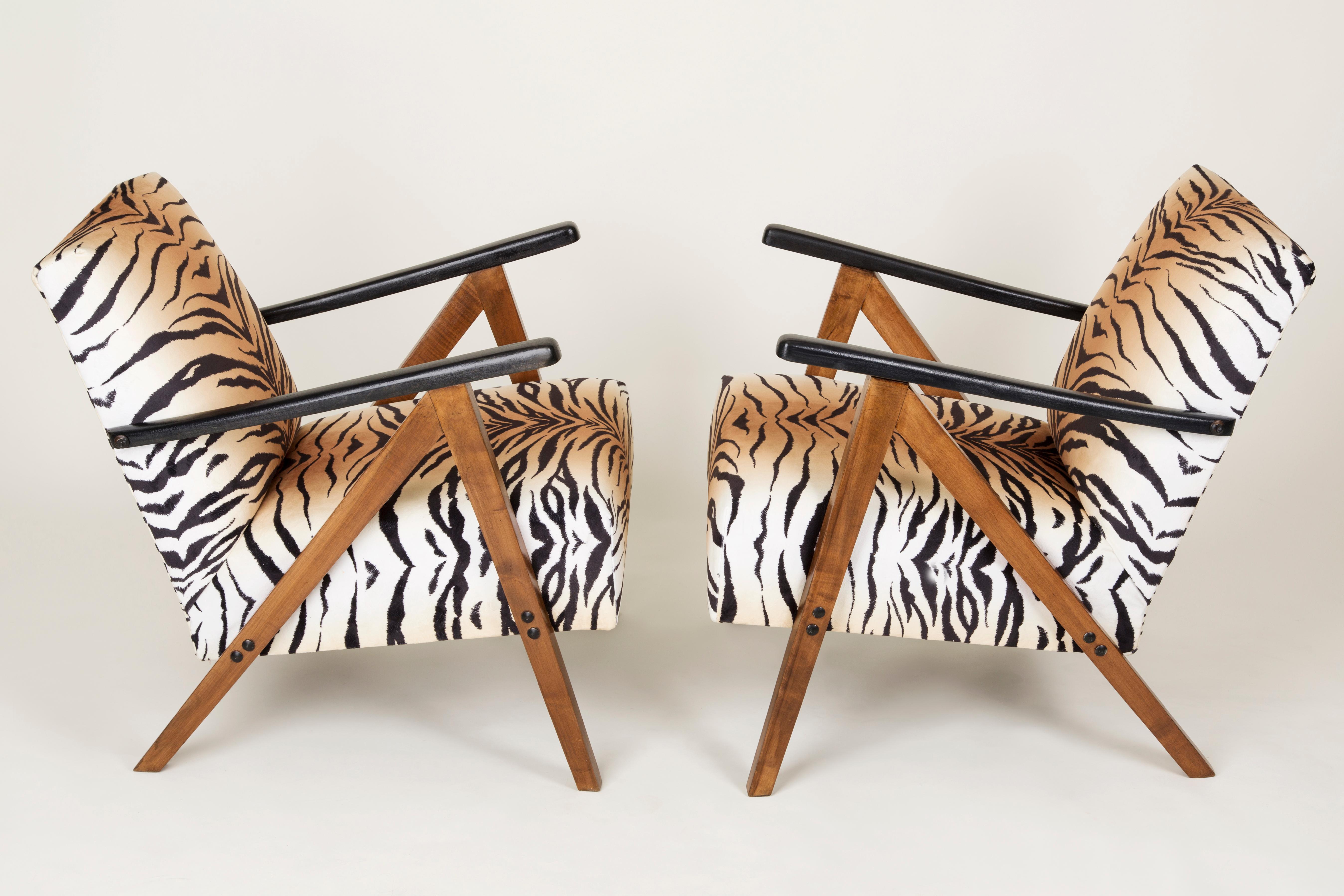 Set aus zwei modernen Mid-Century-Sesseln mit Tigermuster, 1960er Jahre, Deutschland (Polnisch) im Angebot