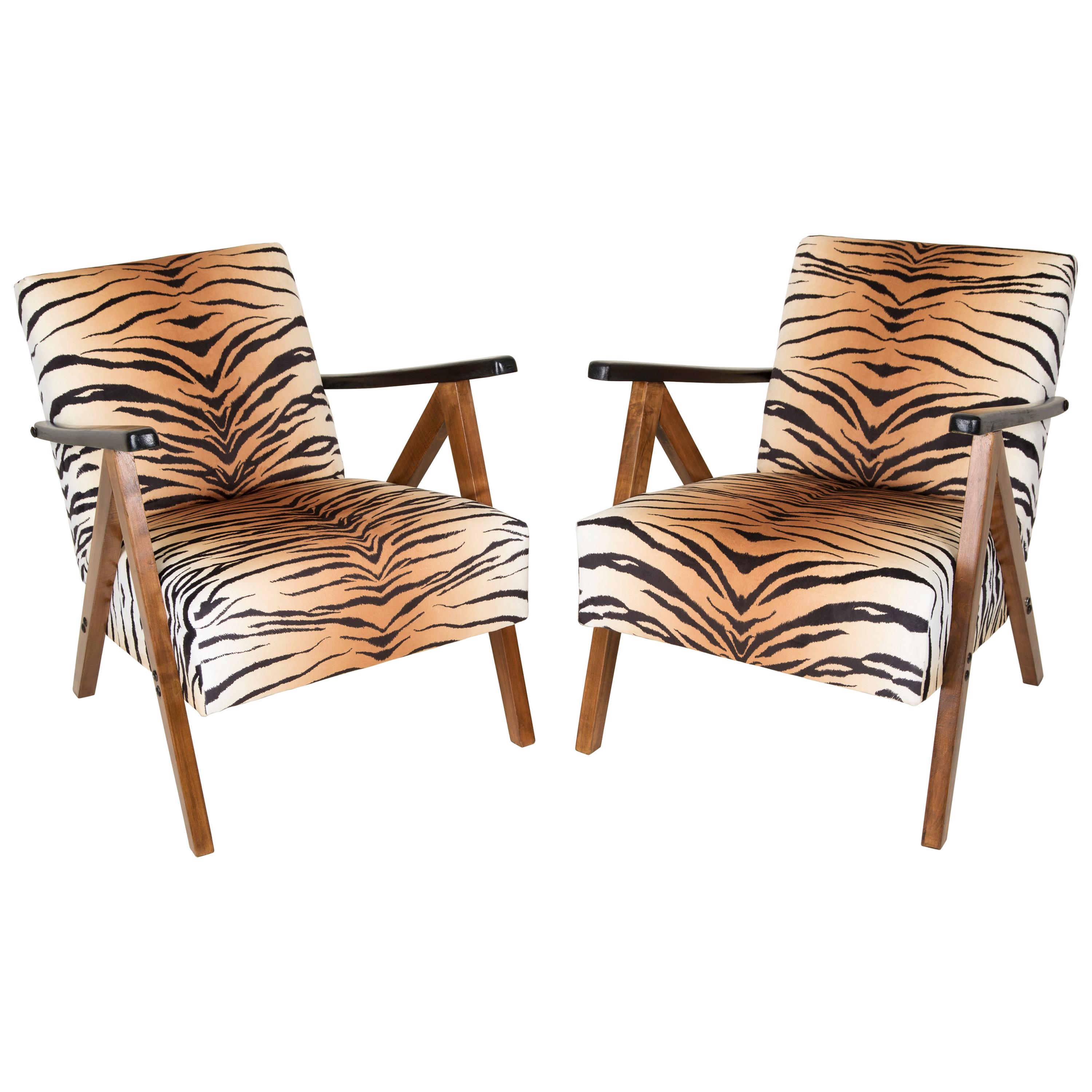 Set of Two Mid-Century Modern Tiger Print Armchairs, 1960s, Germany