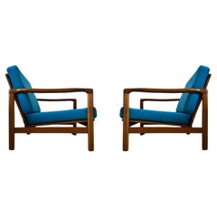 Set of Two Midcentury Armchairs, Blue Velvet Upholstery, Poland, 1960s