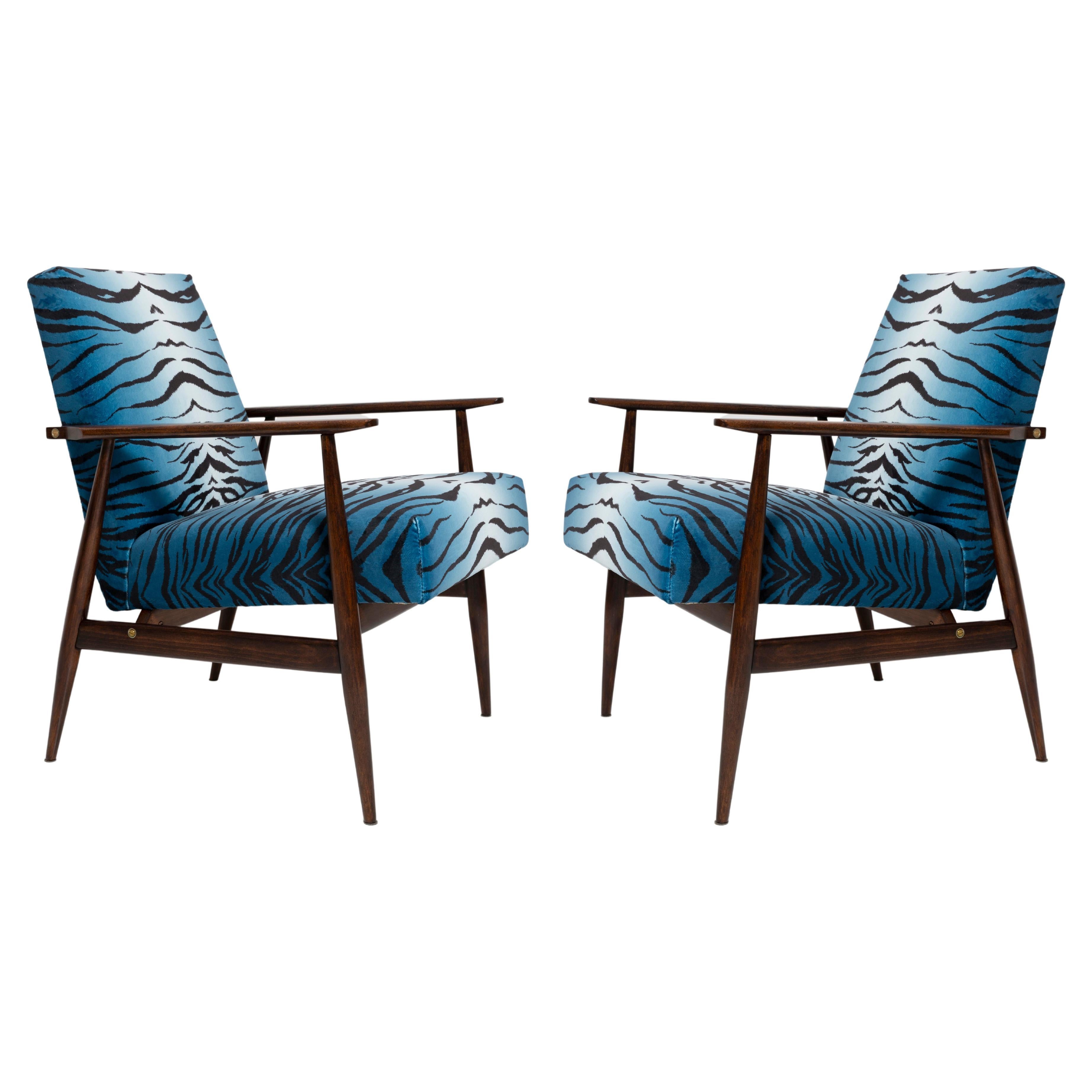 Set aus zwei blauen Dante-Sesseln aus Samt mit Zebradruck aus der Mitte des Jahrhunderts, H. Lis, 1960er Jahre