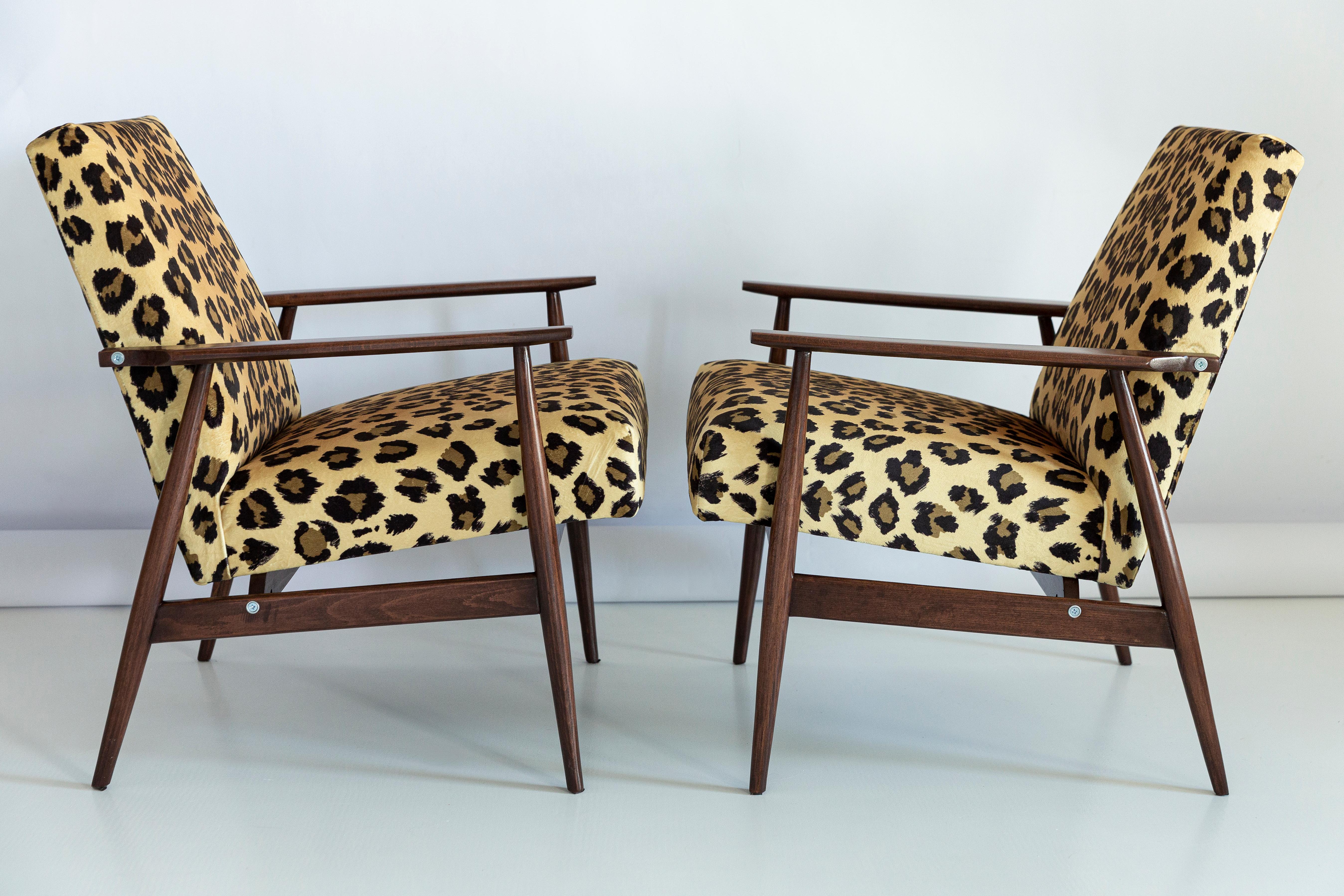 A beautiful, restored armchairs designed by Henryk Lis. Furniture after full carpentry and upholstery renovation. The fabric, which is covered with a backrest and a seat, is a high-quality Italian velvet upholstery printed in leopard pattern. The