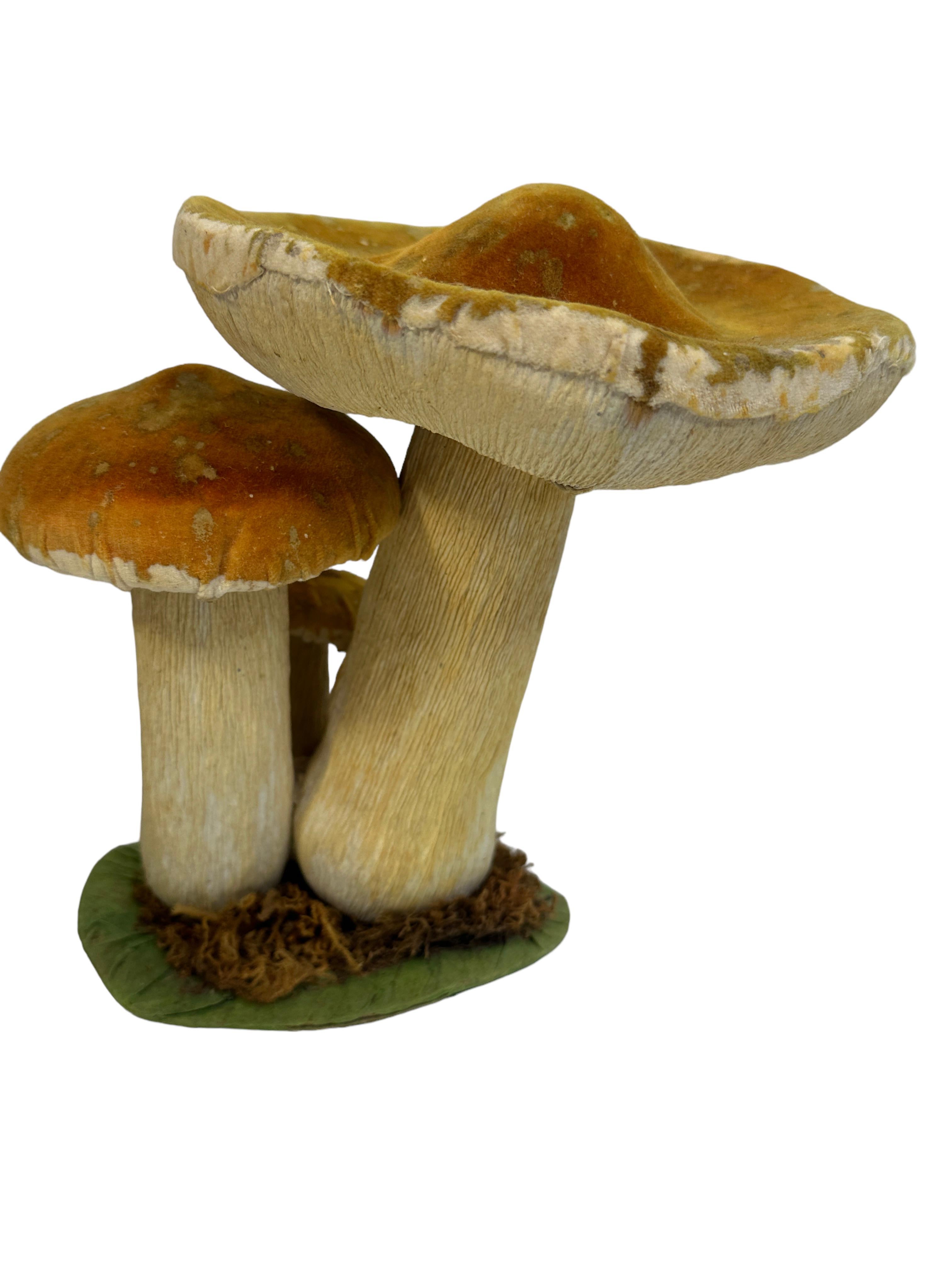 Mid-20th Century Set of Two Mushrooms Scientific Models Europe , Germany 1960s For Sale