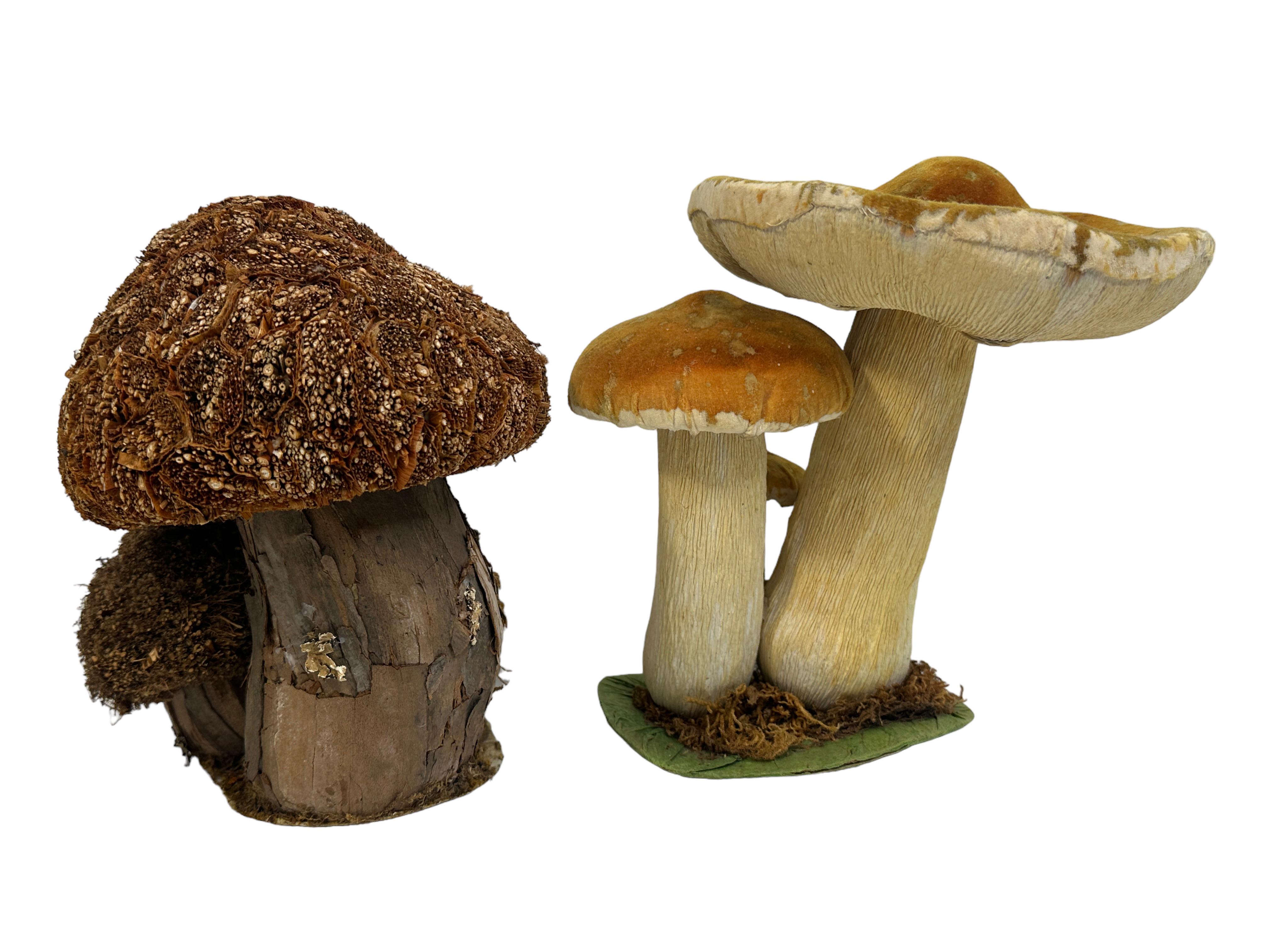 Set of Two Mushrooms Scientific Models Europe , Germany 1960s For Sale 2