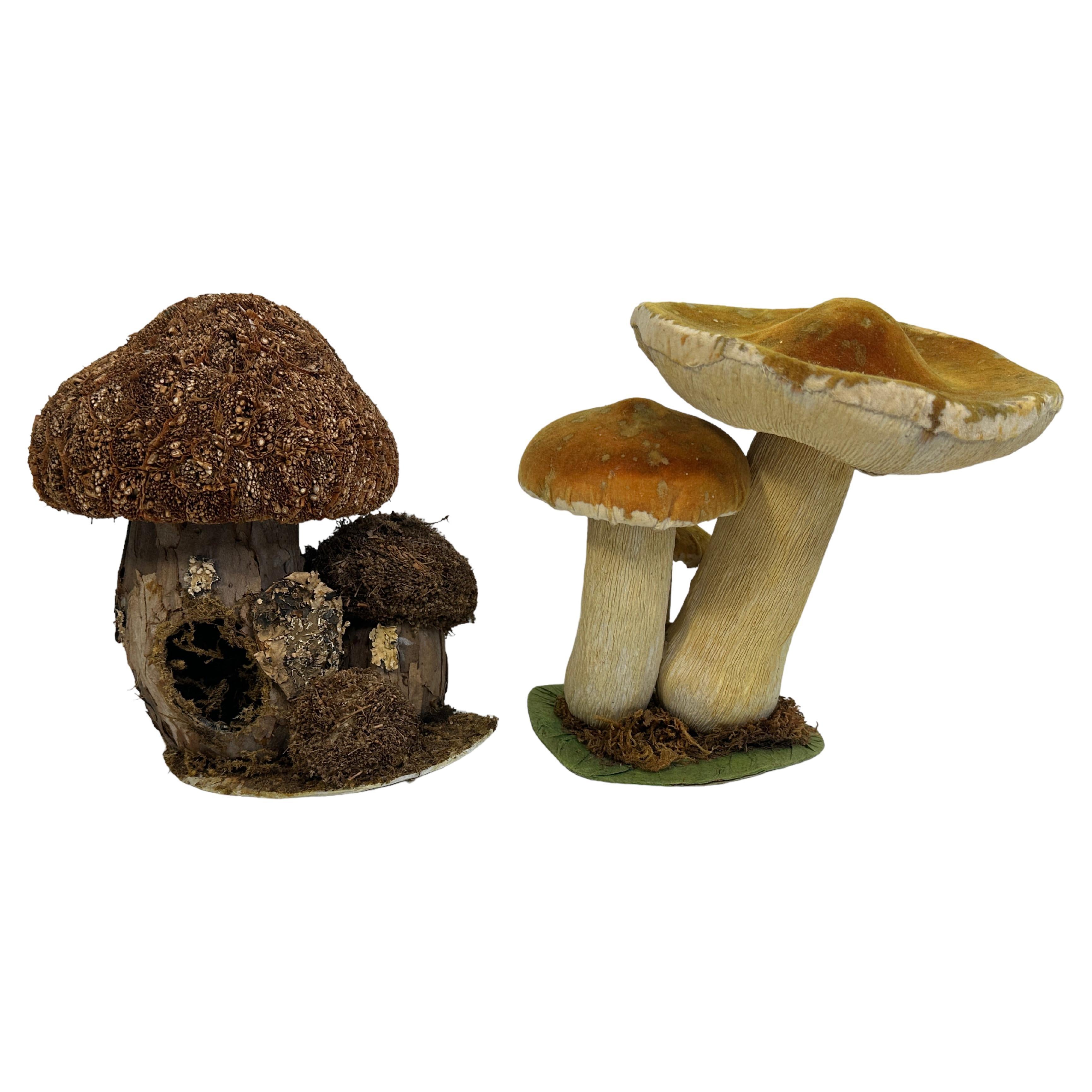 Set of Two Mushrooms Scientific Models Europe , Germany 1960s