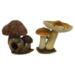 Set of Two Mushrooms Scientific Models Europe , Germany 1960s