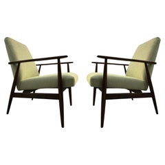 Set of Two Olive Armchairs by Henryk Lis, Europe, 1960s,