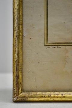 Set of Two Ornithological Engravings – Early 20th Century - France