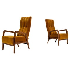 Set of Two “P 30” Lounge Chairs in Ocher by Osvaldo Borsani for Tecno, 1952