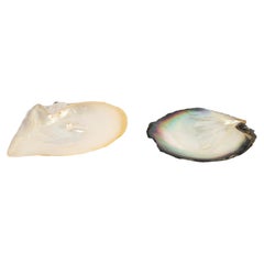 Set Of Two Pearlescent Shells.