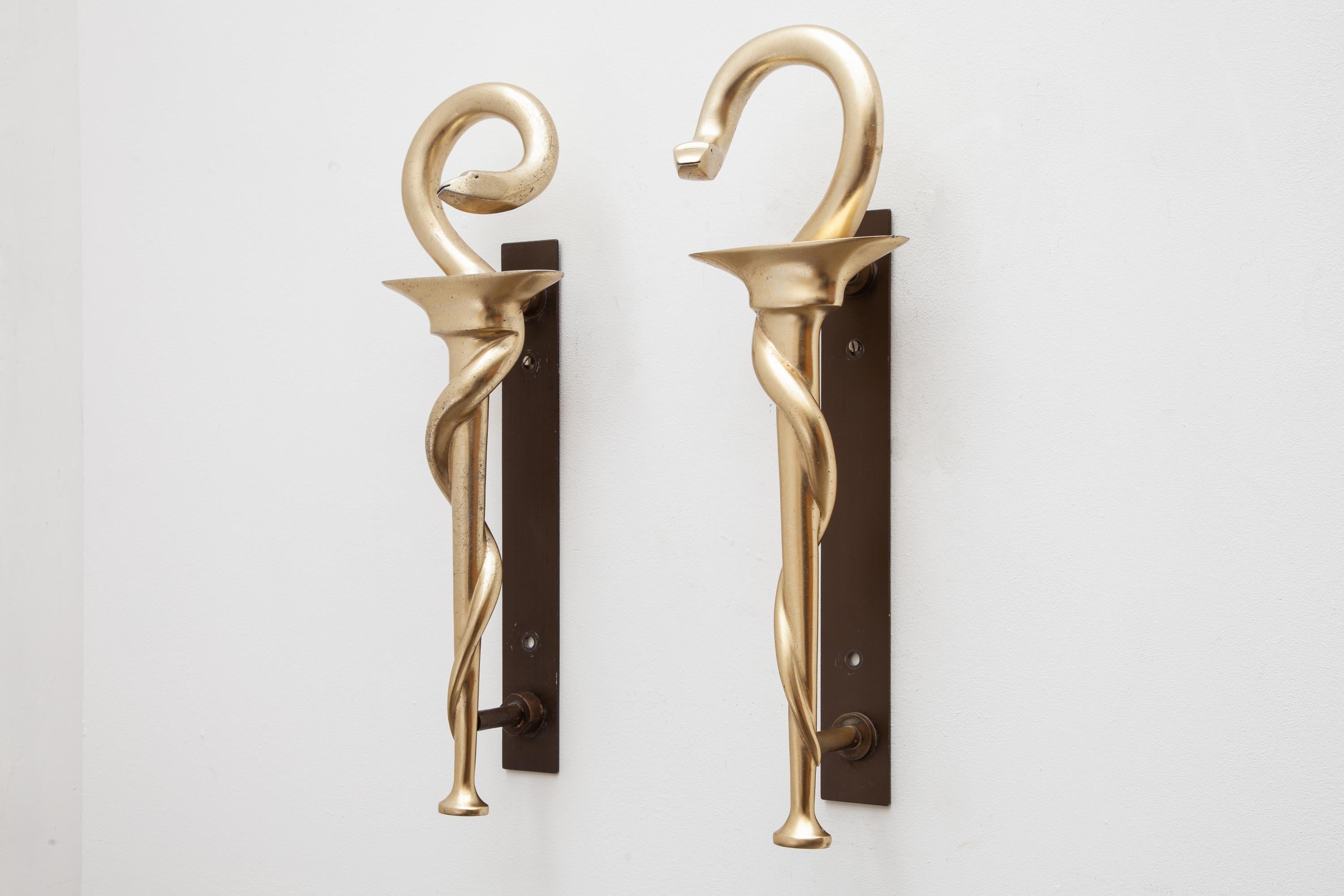 Beautiful sculpted snakes that twist around the handle aluminum gilt esculaap, caduceus door handles used in the logo from Doctors, Pharmacy and Apothecary. 

The snake symbolizes the healing in the esculla, because this animal can shed its skin,