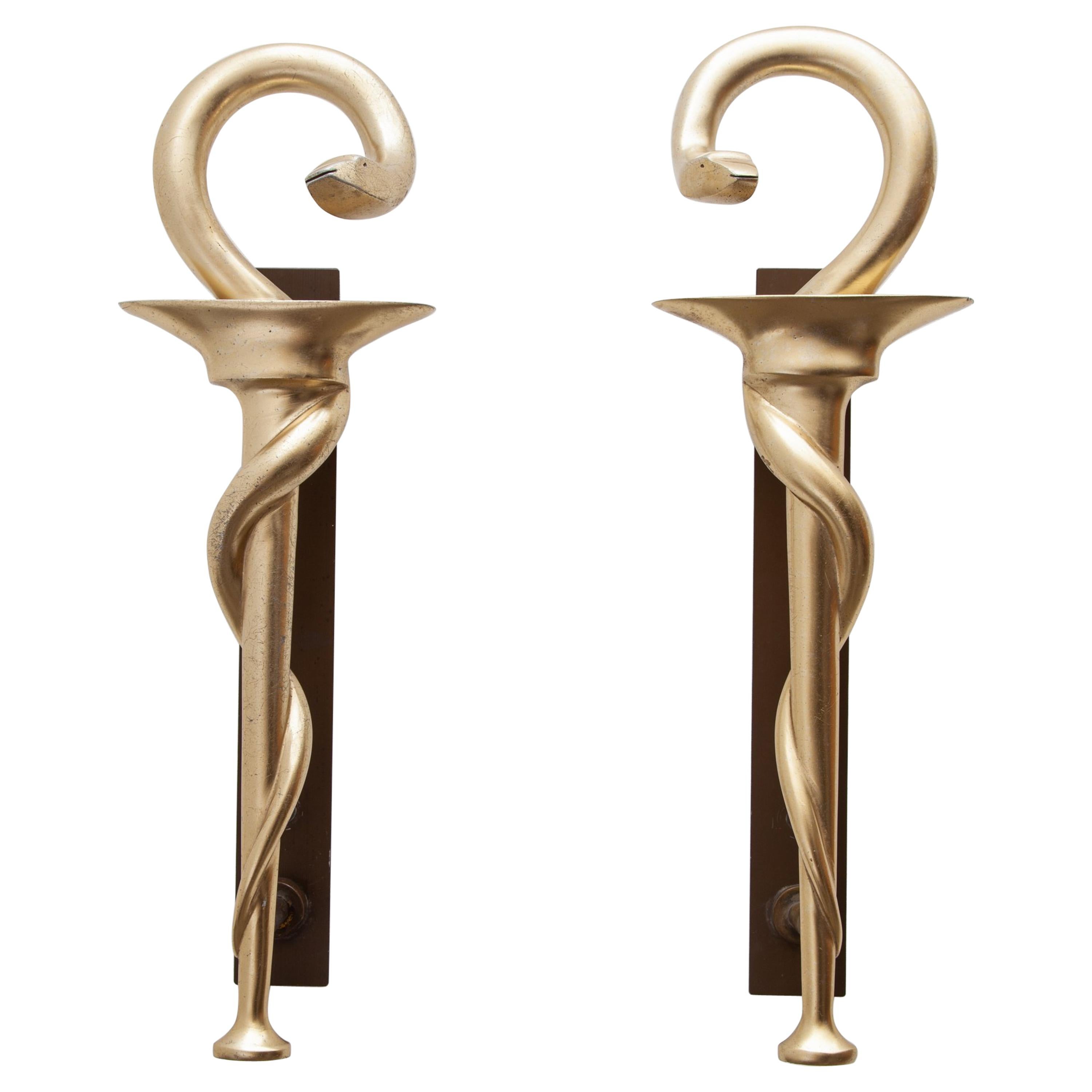 Set of Two Pharmacy Icon with Caduceus Symbol Door Handles for Apothecary, 1970s