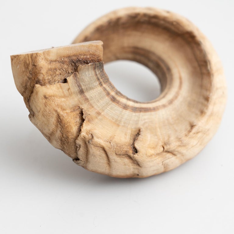 Set of Two Ram Horns For Sale at 1stDibs