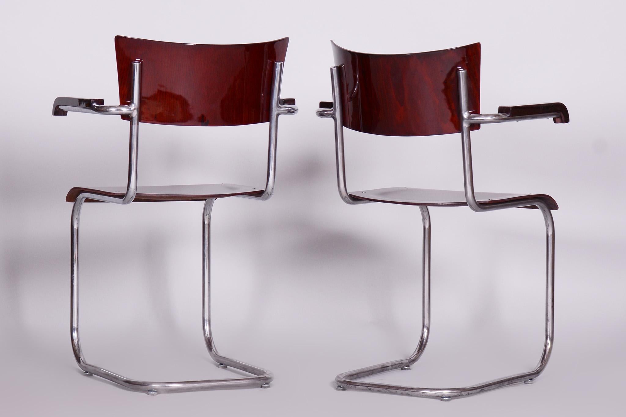 20ième siècle Ensemble de deux fauteuils en hêtre restaurés par Mart Stam, Robert Slezak, Tchèque, années 1930 en vente