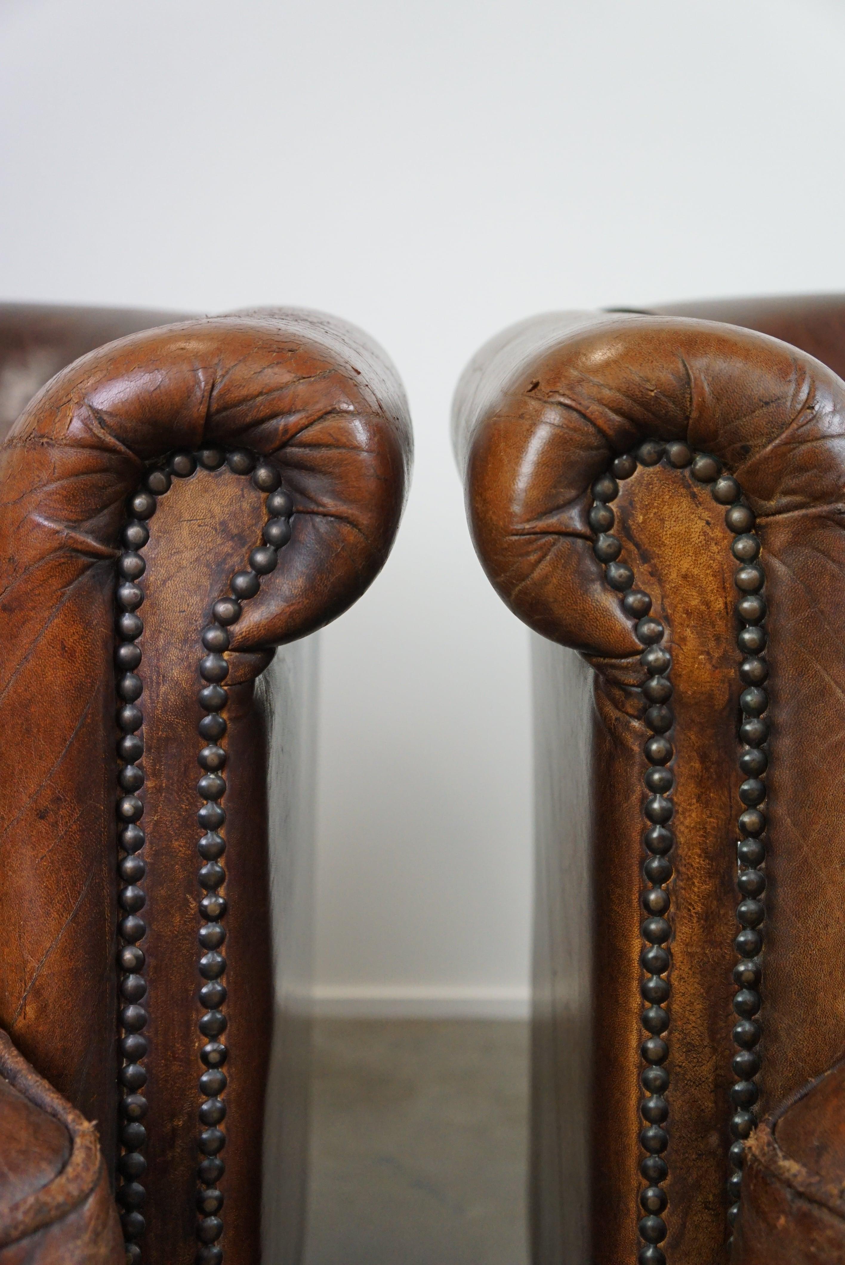 Set of two rugged sheep leather club armchairs with a beautifully worn look For Sale 4