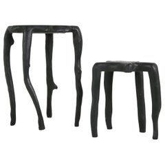 Set of Two Sculptural Wooden Side Tables in Black, Root Wood, Nesting Tables