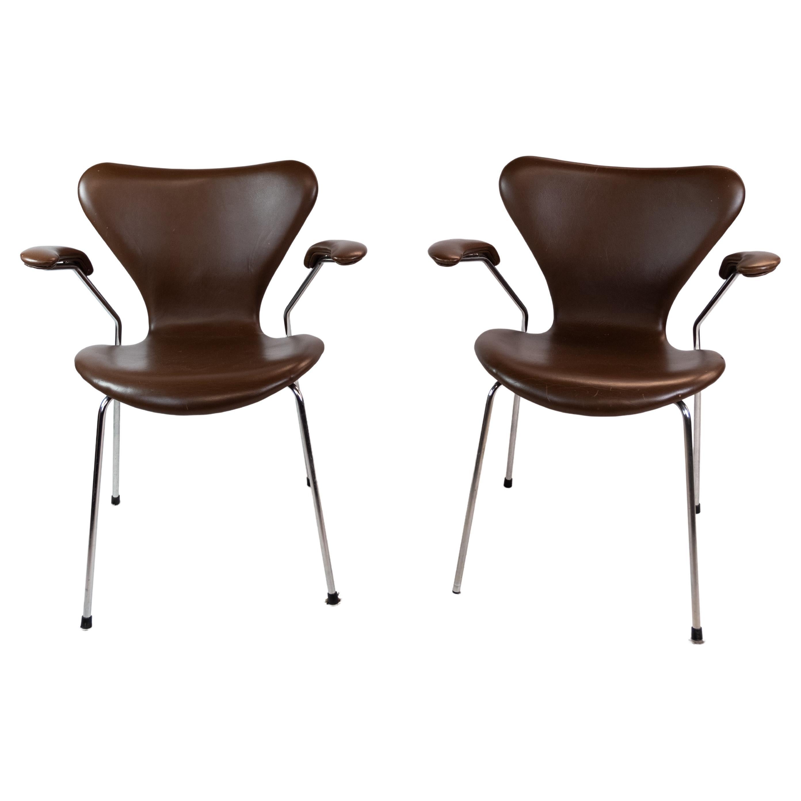 Set of Two Seven Chairs, Model 3207, Dark Brown Leather, Arne Jacobsen, 1955