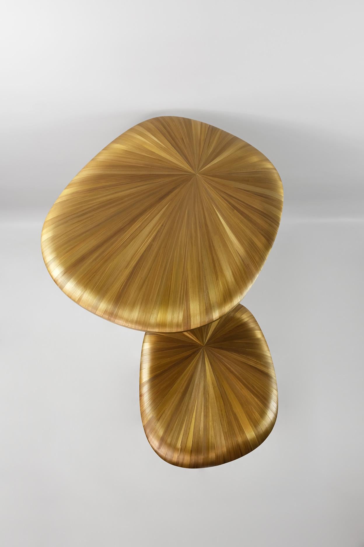 Set of Two Side Tables in Straw Marquetry with a Gilded Base by Ginger Brown For Sale 1